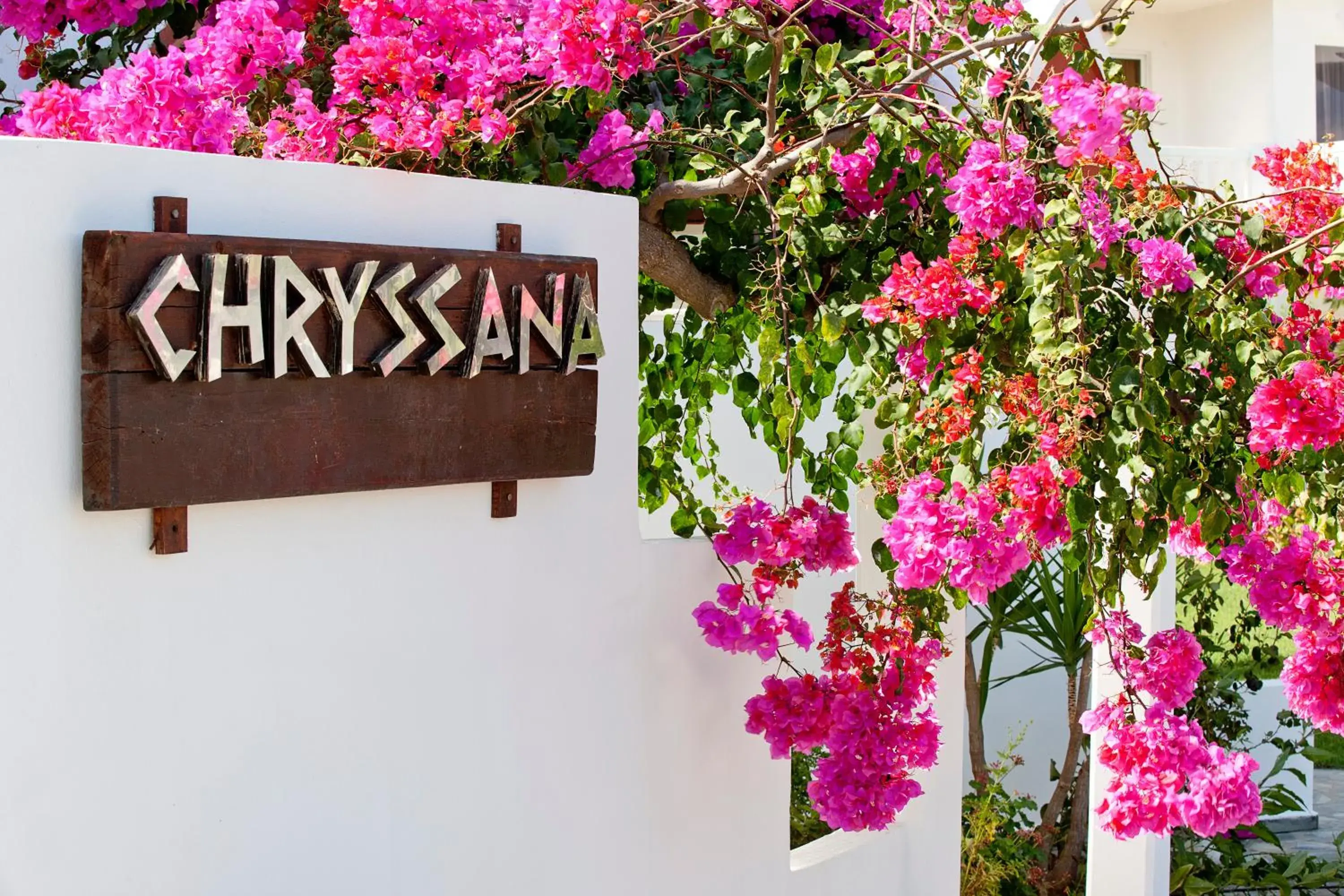 Facade/entrance in Mrs Chryssana Beach Hotel Facade/entrance in Mrs Chryssana Beach Hotel