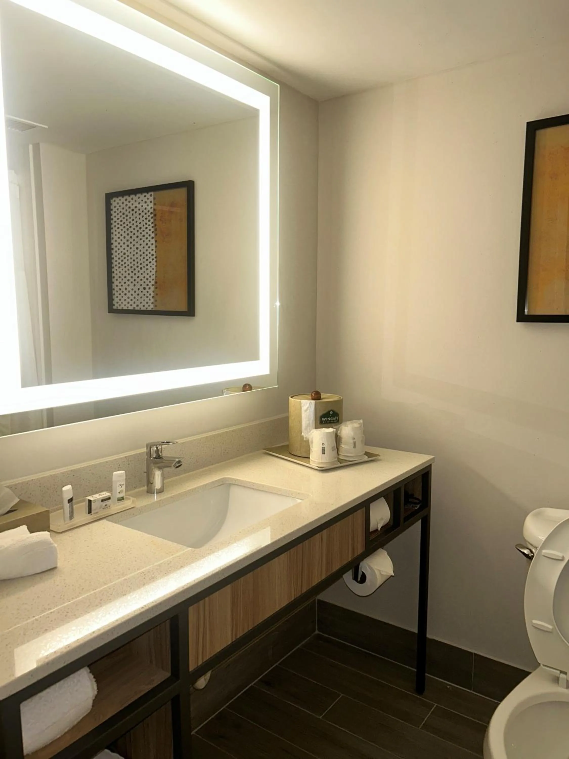Bathroom in Wingate by Wyndham Richmond Short Pump