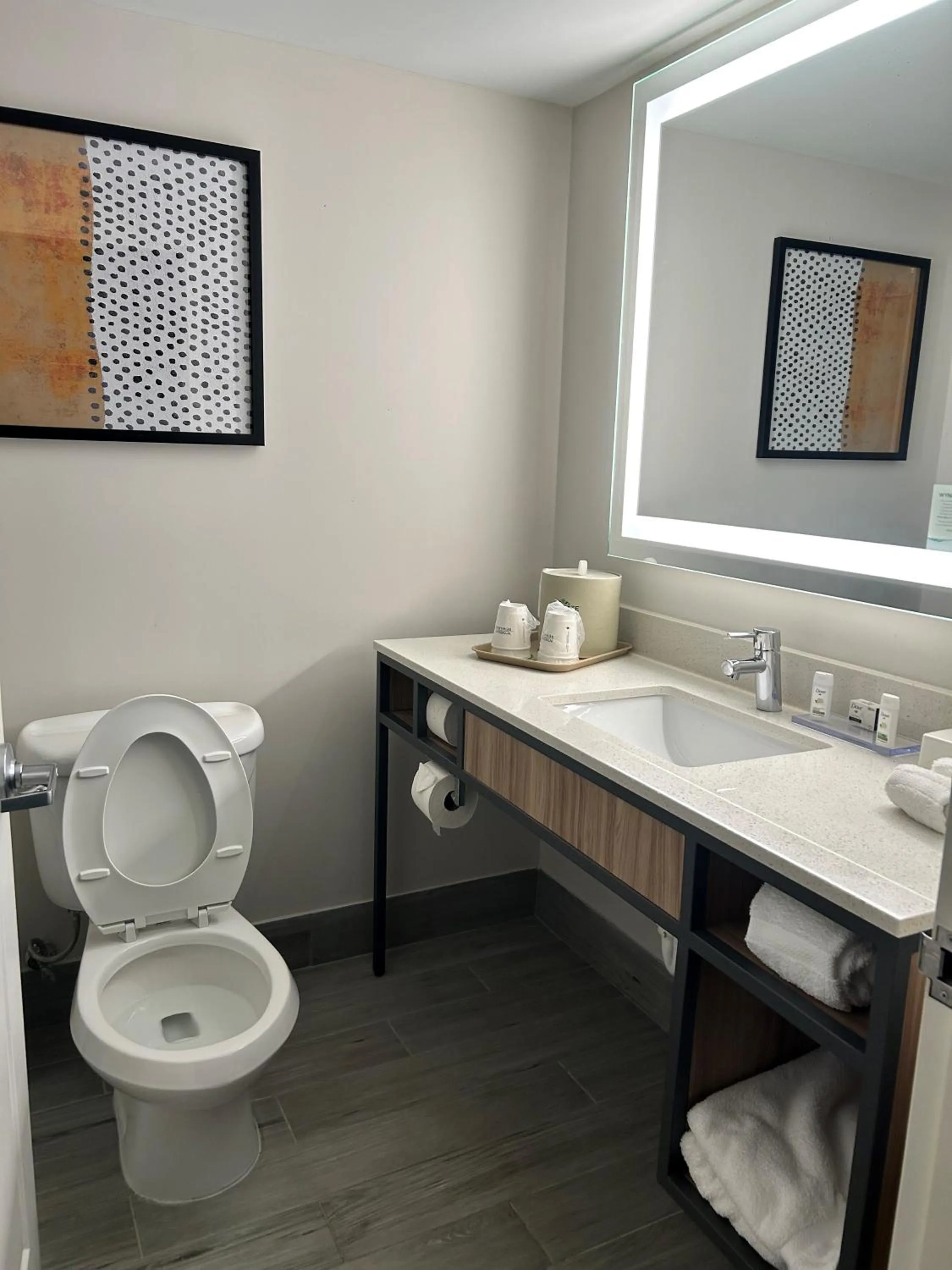 Bathroom in Wingate by Wyndham Richmond Short Pump