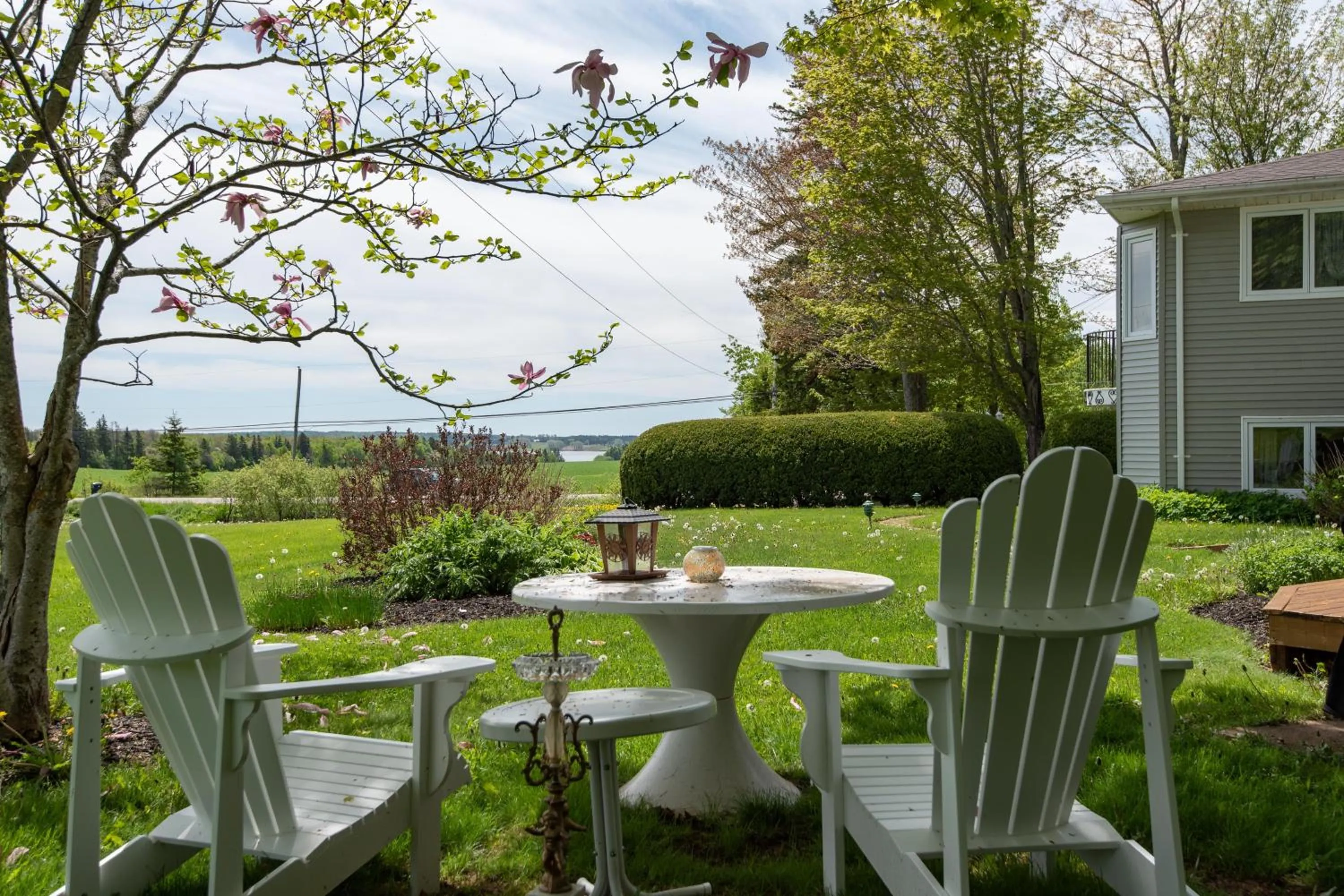 Garden view in Chez Nous