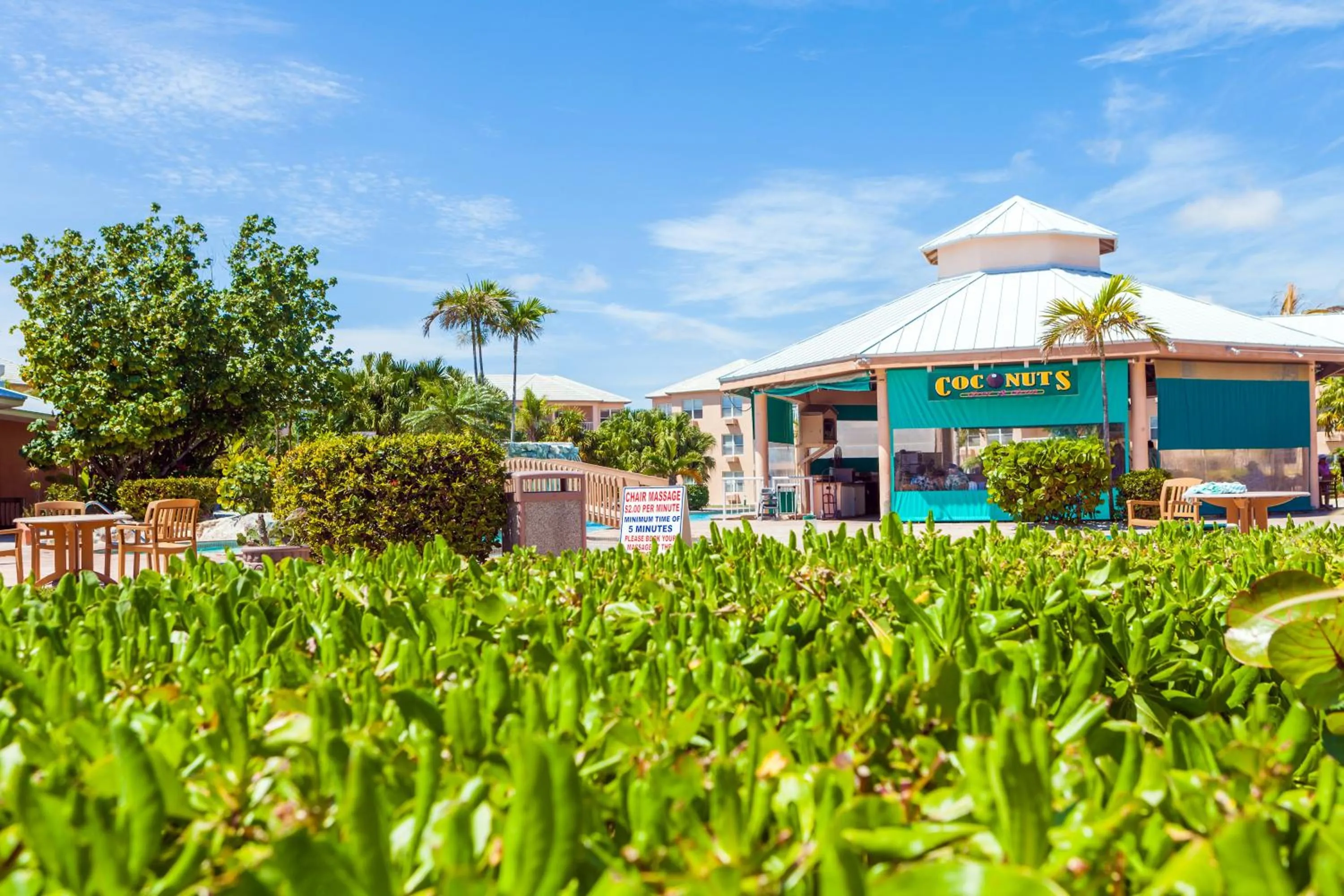 Lounge or bar in Island Seas Resort