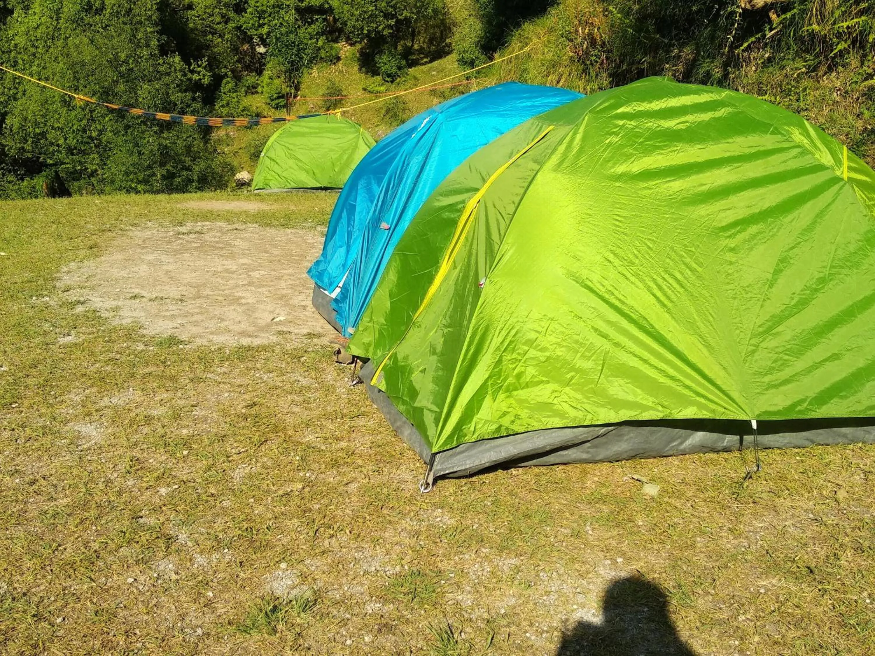 Ara Camps