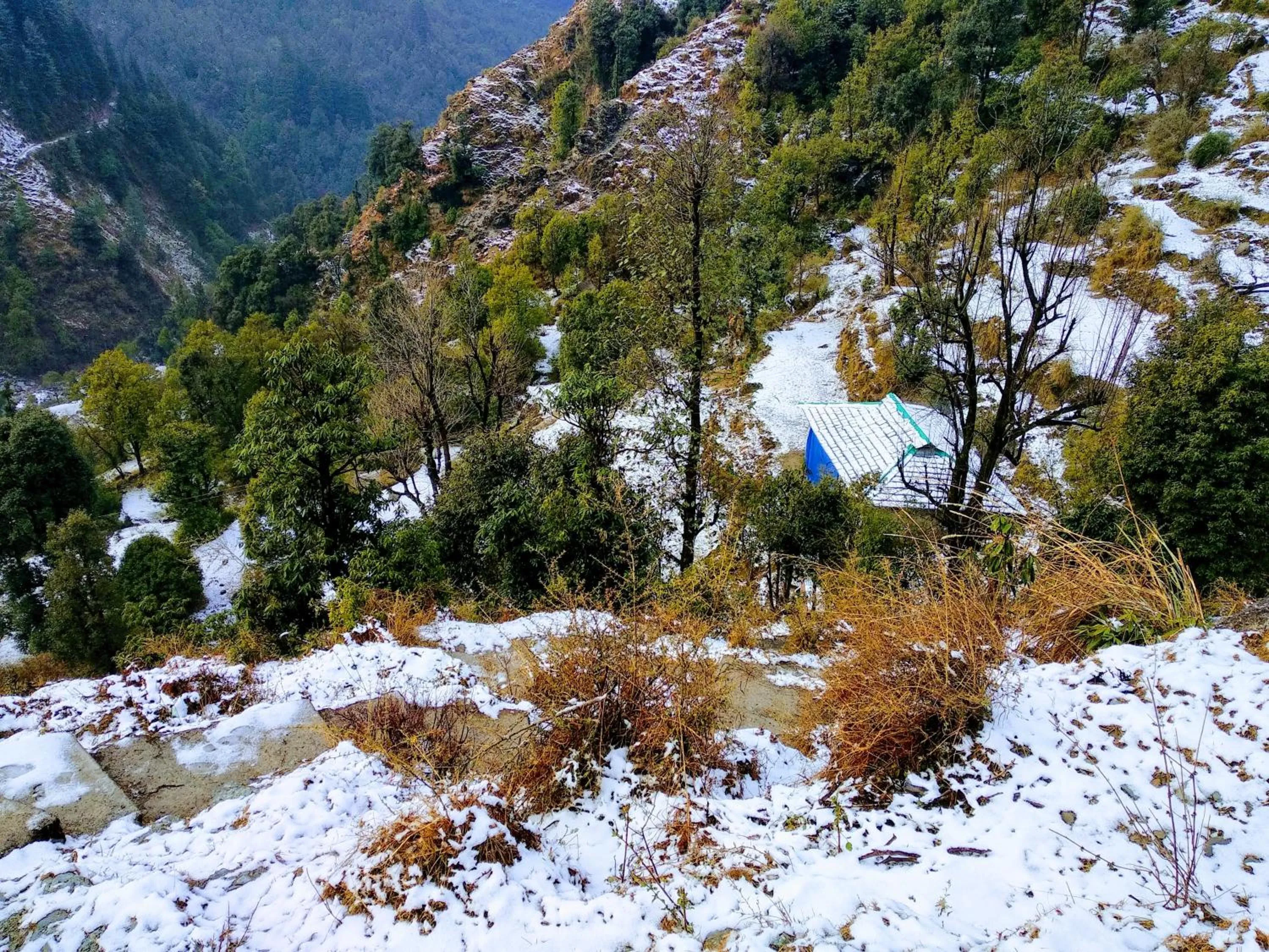 Ara Camps