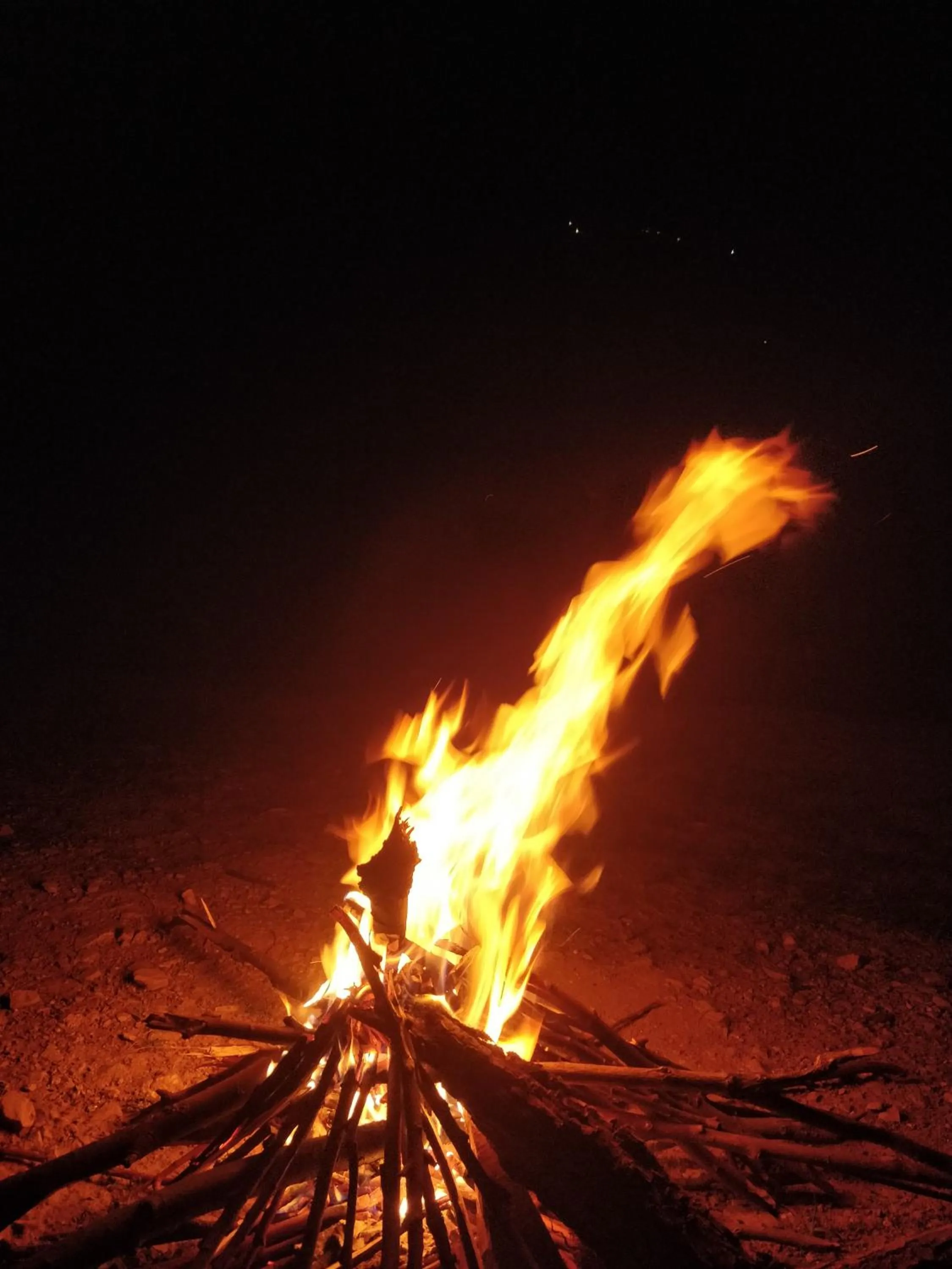 Ara Camps