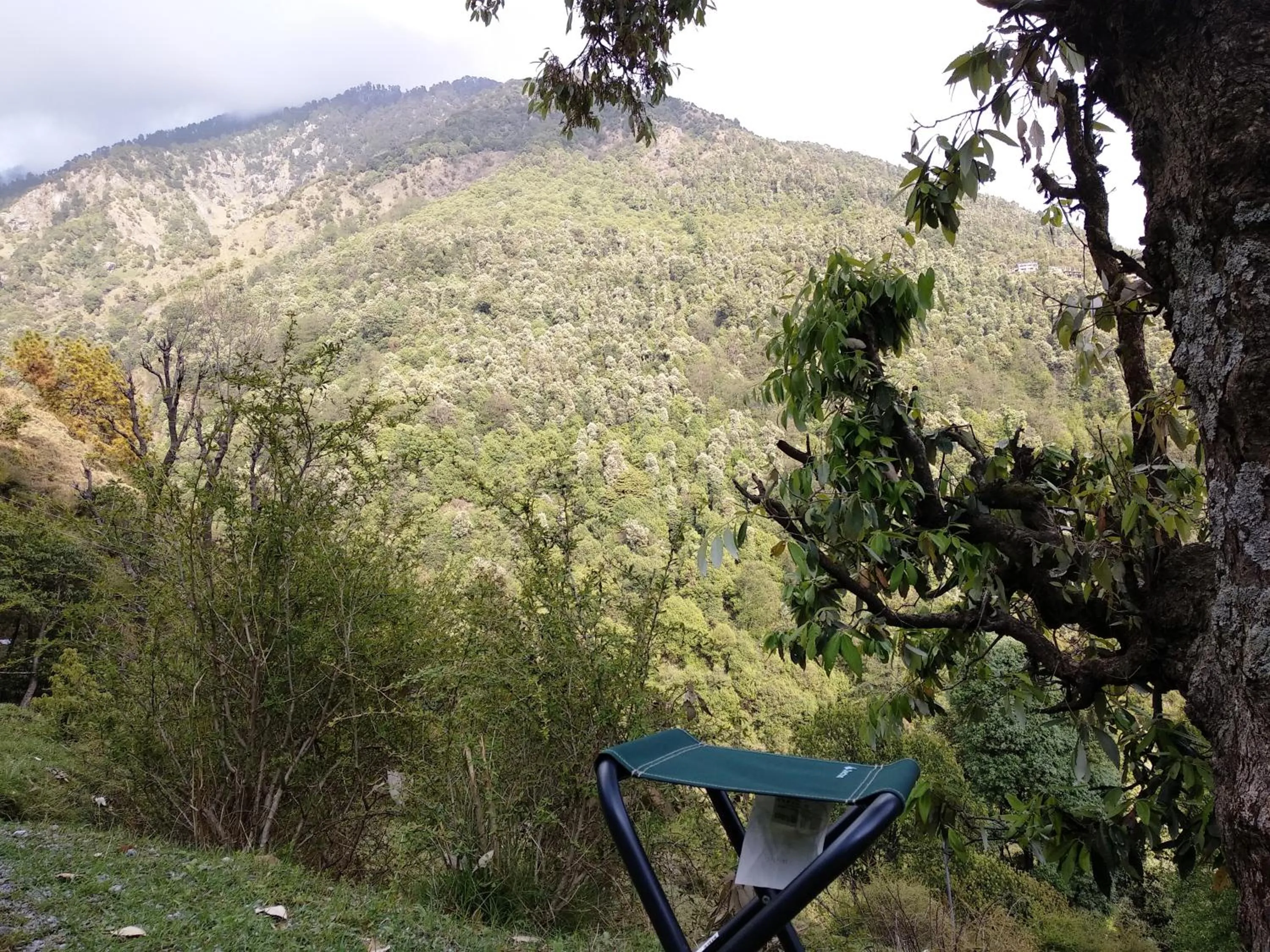 Ara Camps