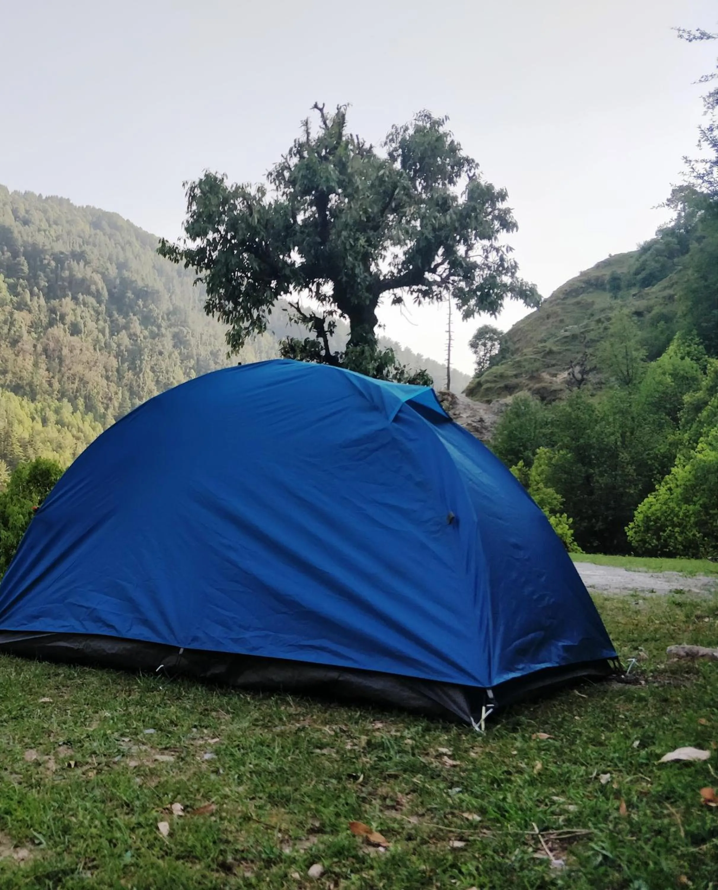 Ara Camps