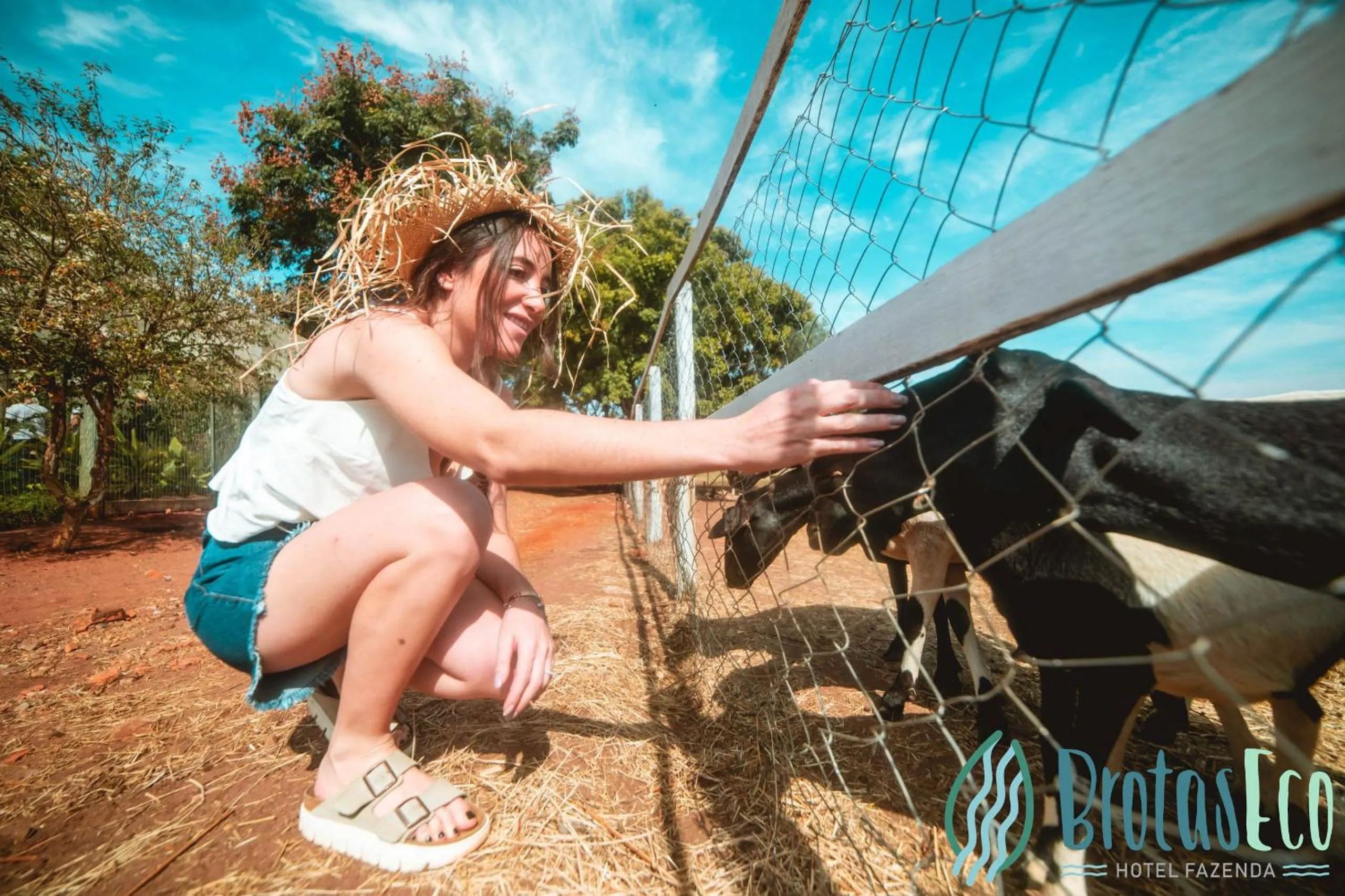 Animals in Brotas Eco Hotel Fazenda