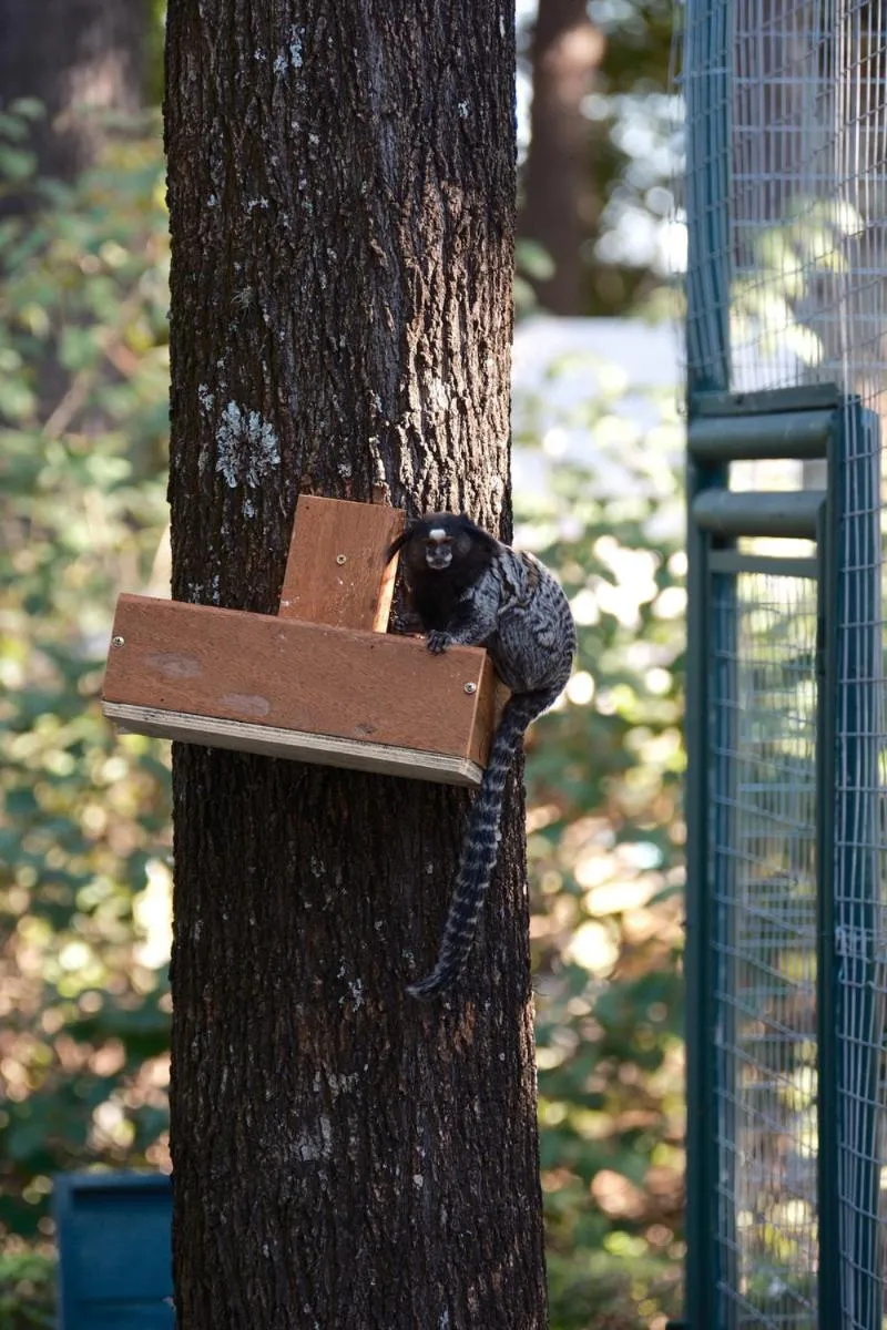 Natural landscape in Brotas Eco Hotel Fazenda