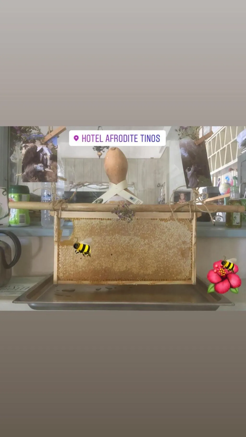Afrodite Hotel