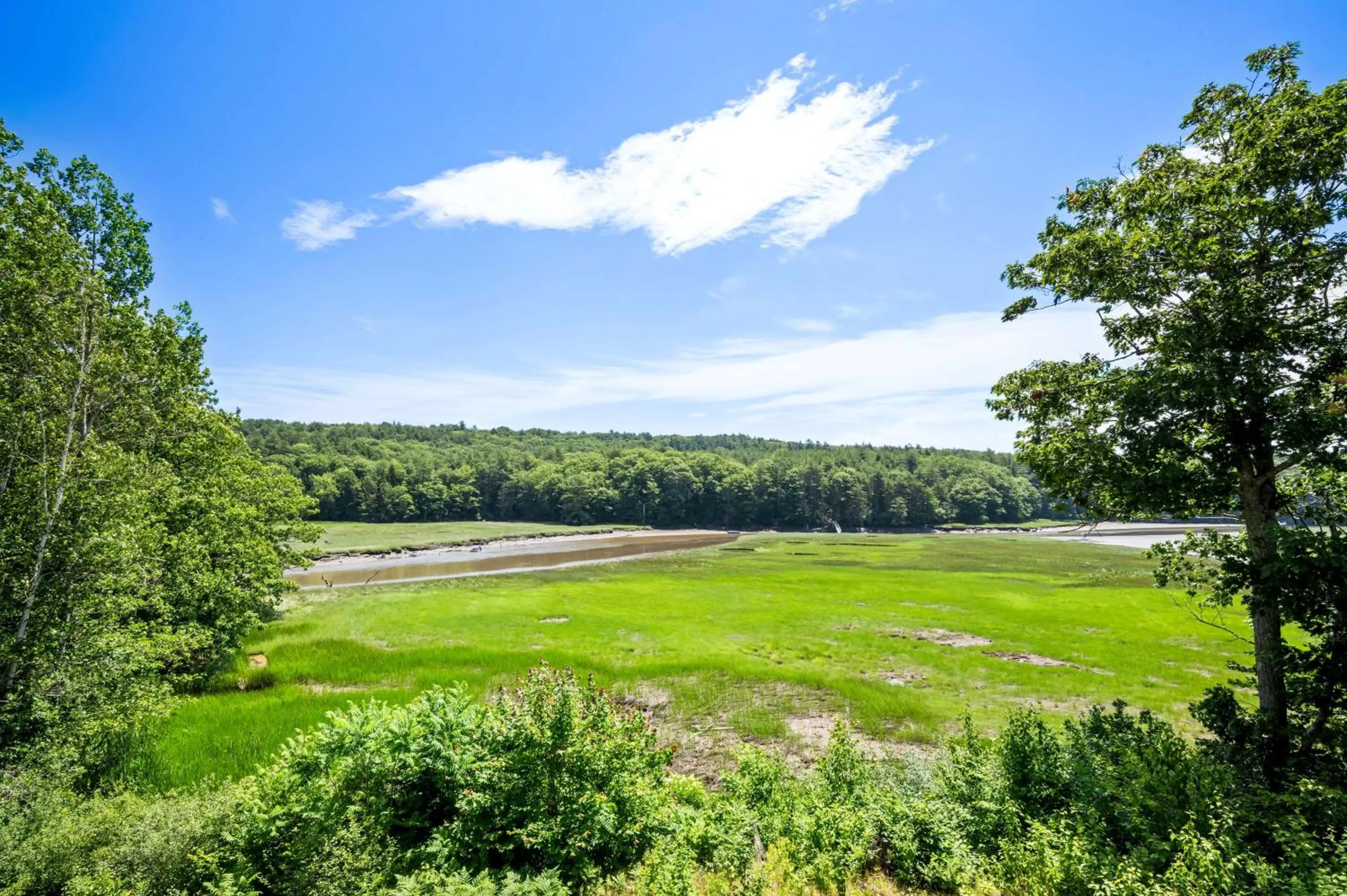 View (from property/room) in Best Western - Freeport Inn