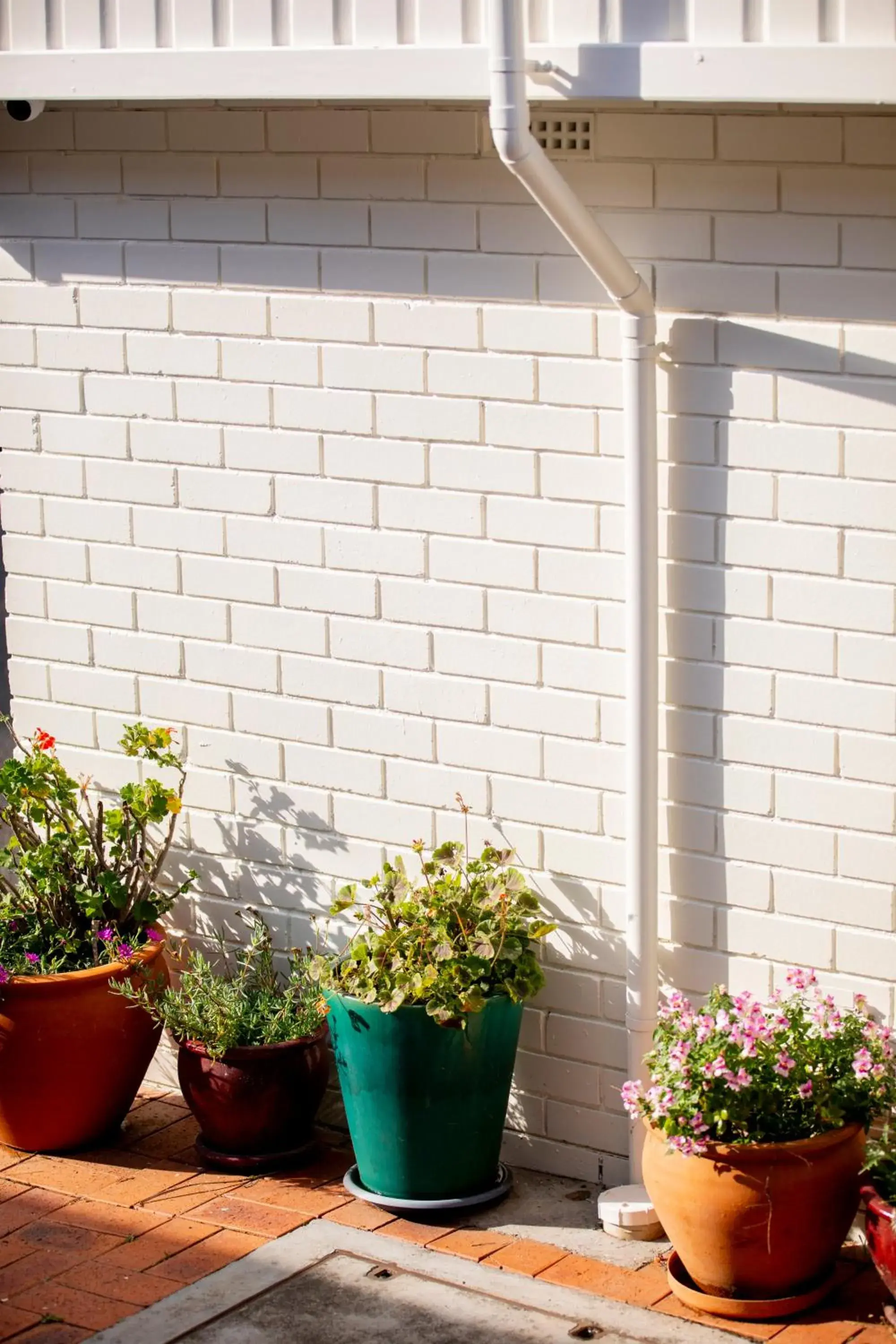 Property building in The Alluna Motel, an Ascend Collection Hotel Property building in The Alluna Motel, an Ascend Collection Hotel