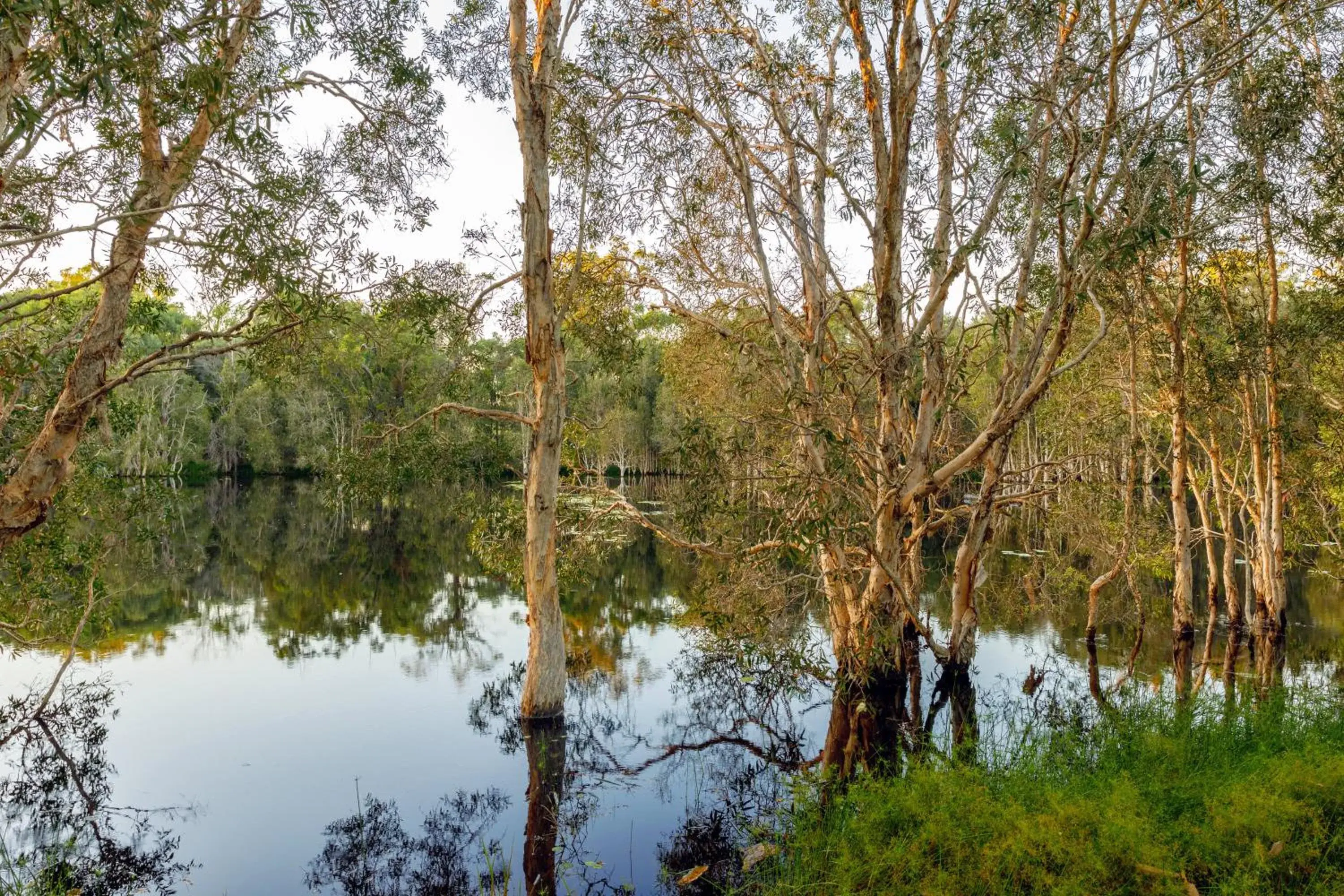 Property building in Sanctuary by Sirromet Property building in Sanctuary by Sirromet