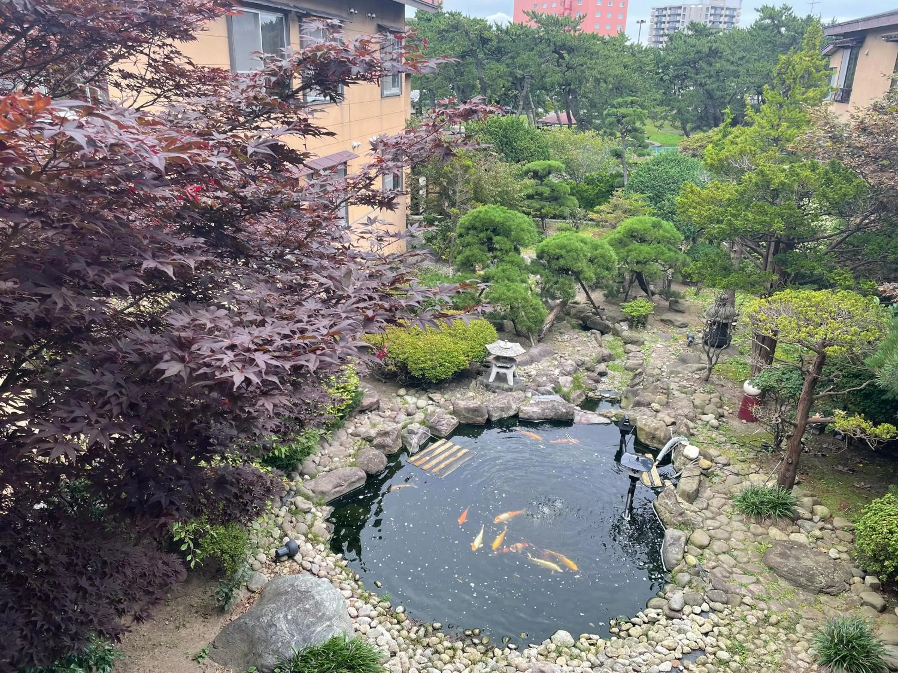 Garden in Ryokan Ichinomatsu