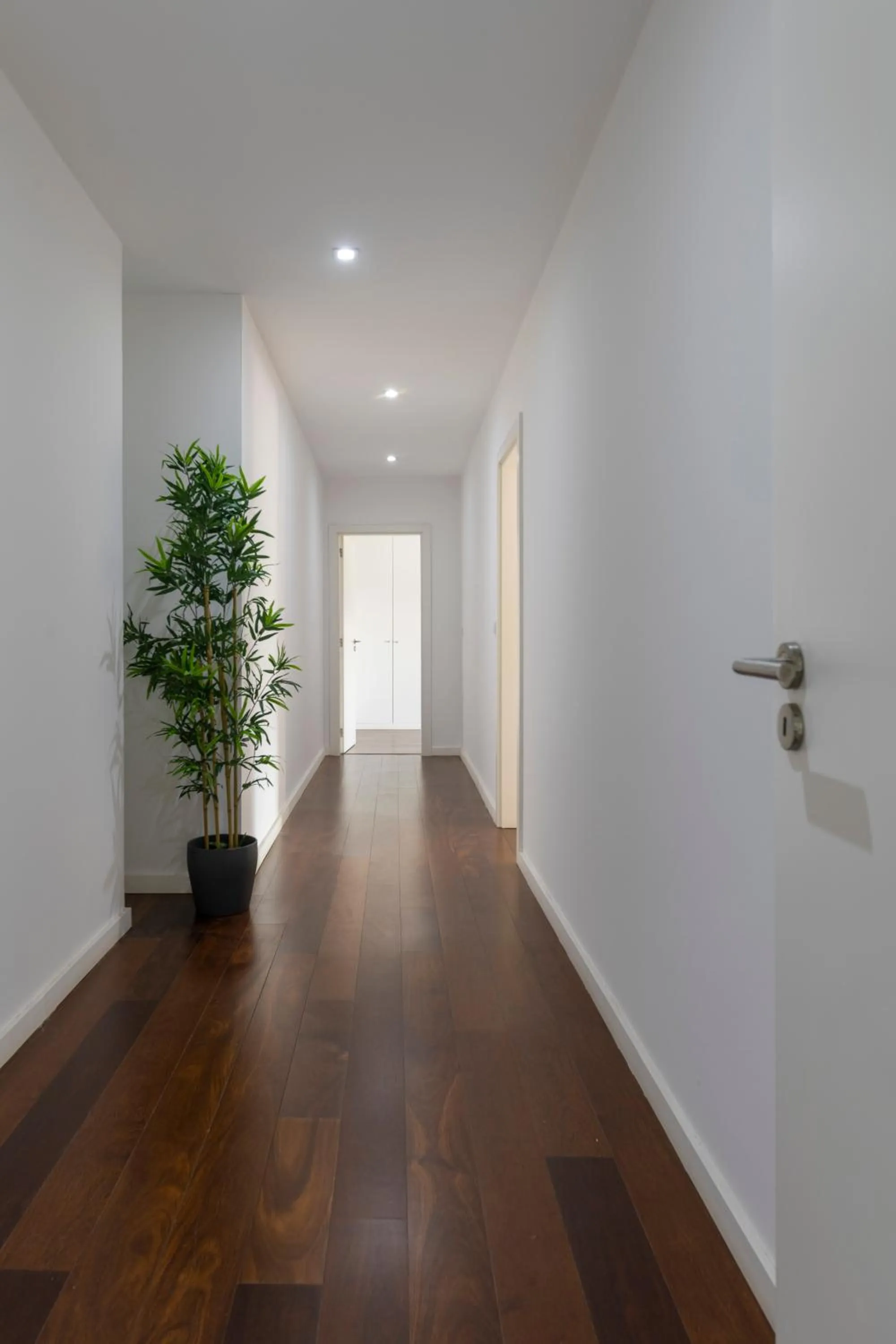 Xenon Urban Apartments