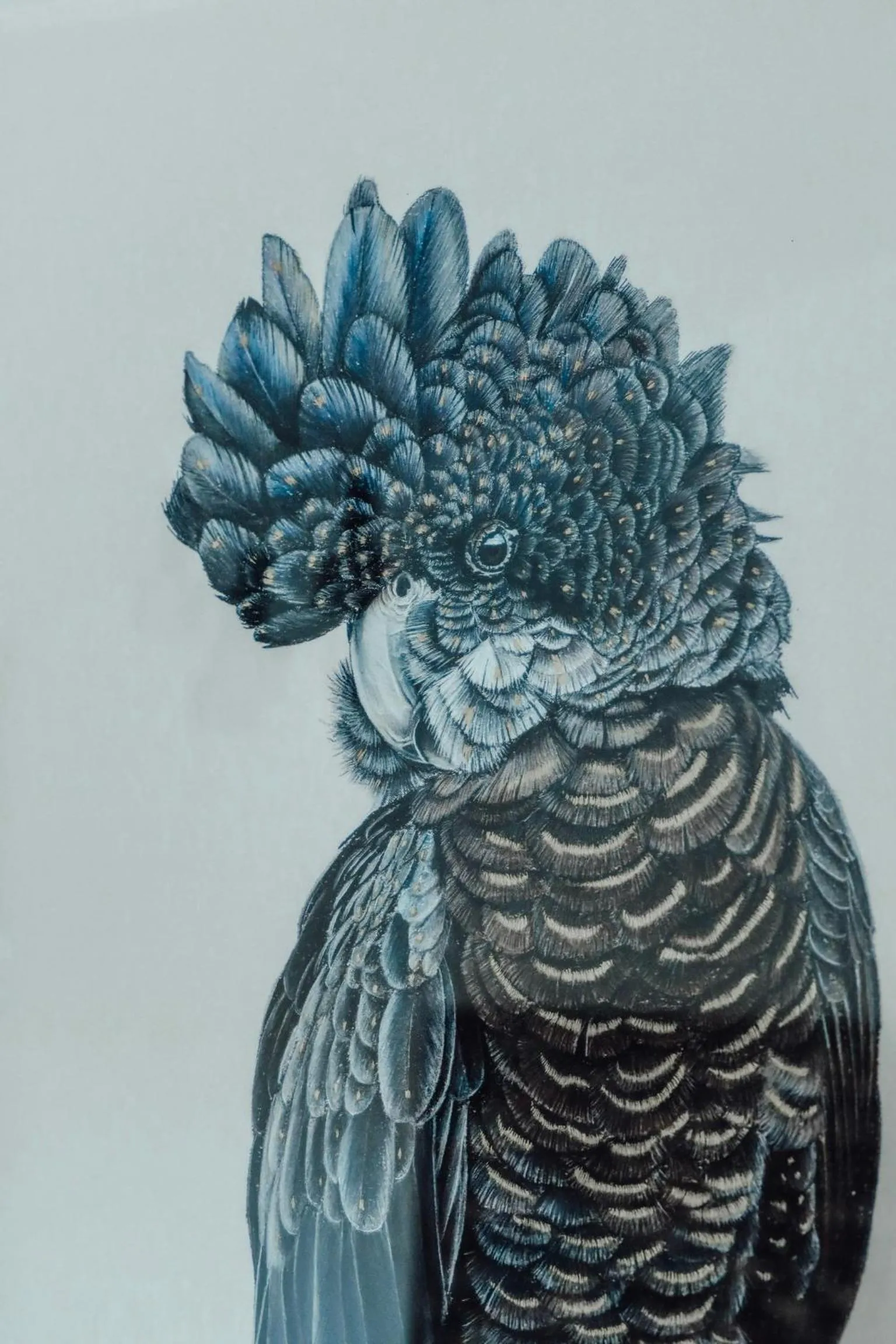 Anchors Port Campbell