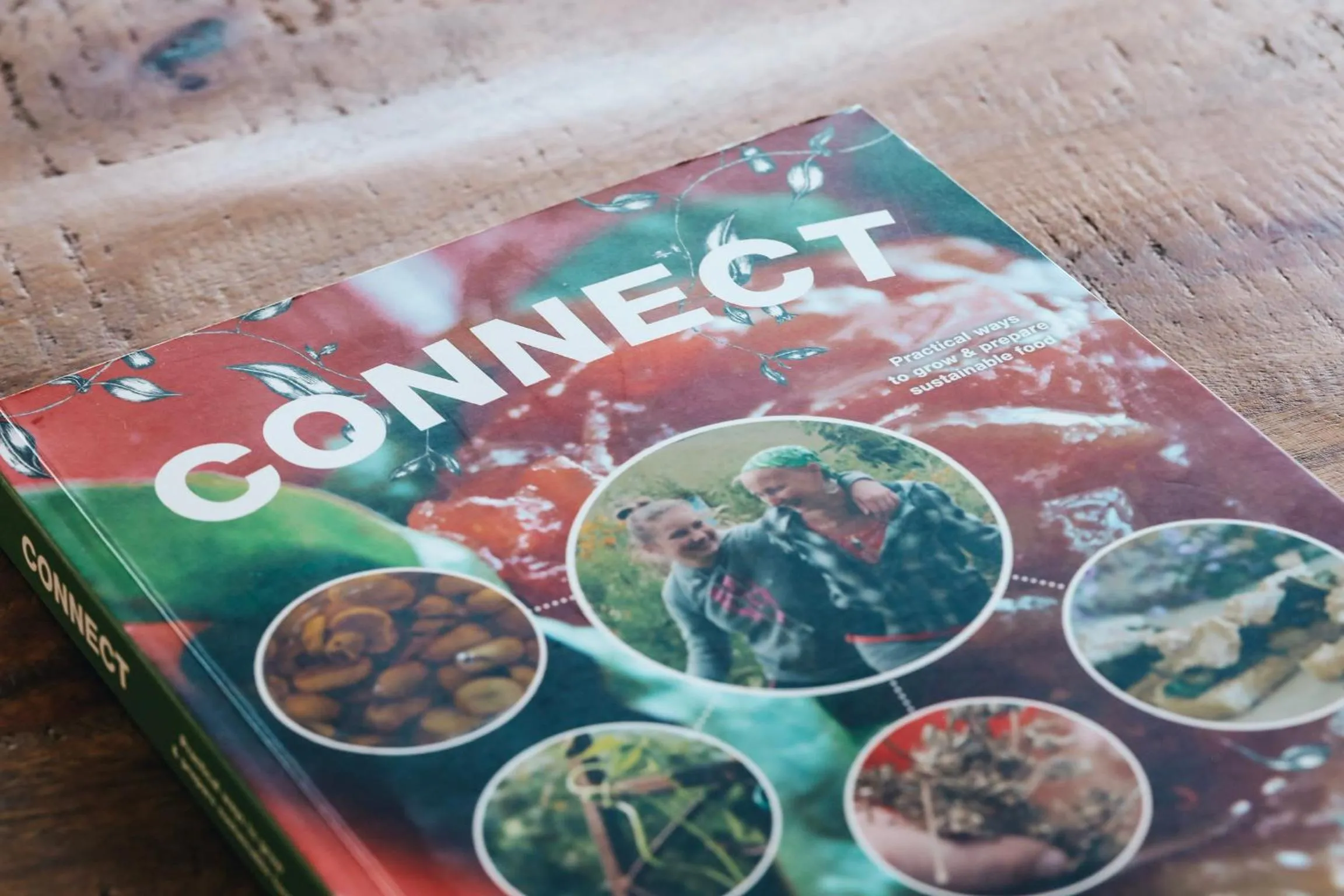 Anchors Port Campbell