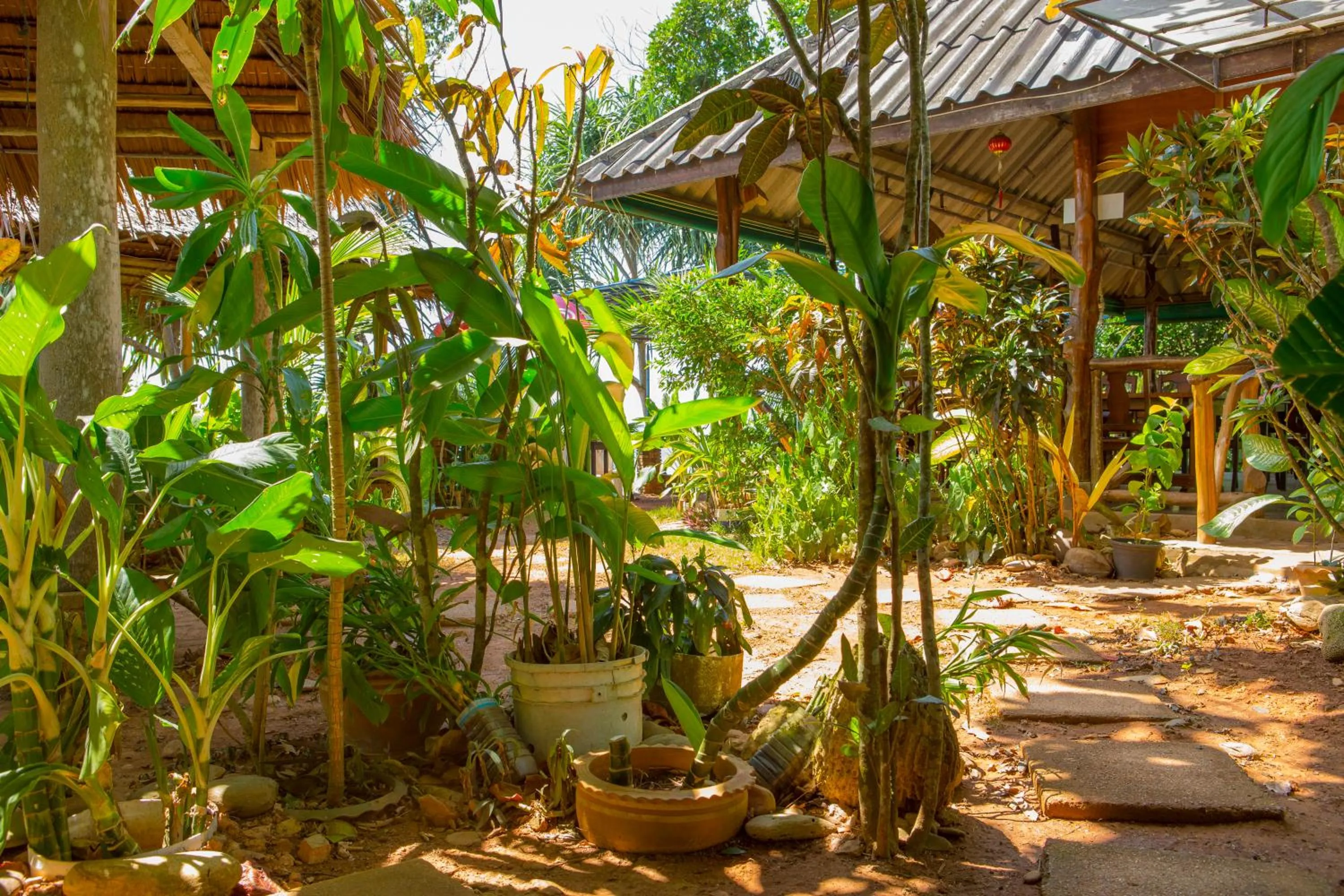 Restaurant/places to eat in Lanta Coral Beach Resort