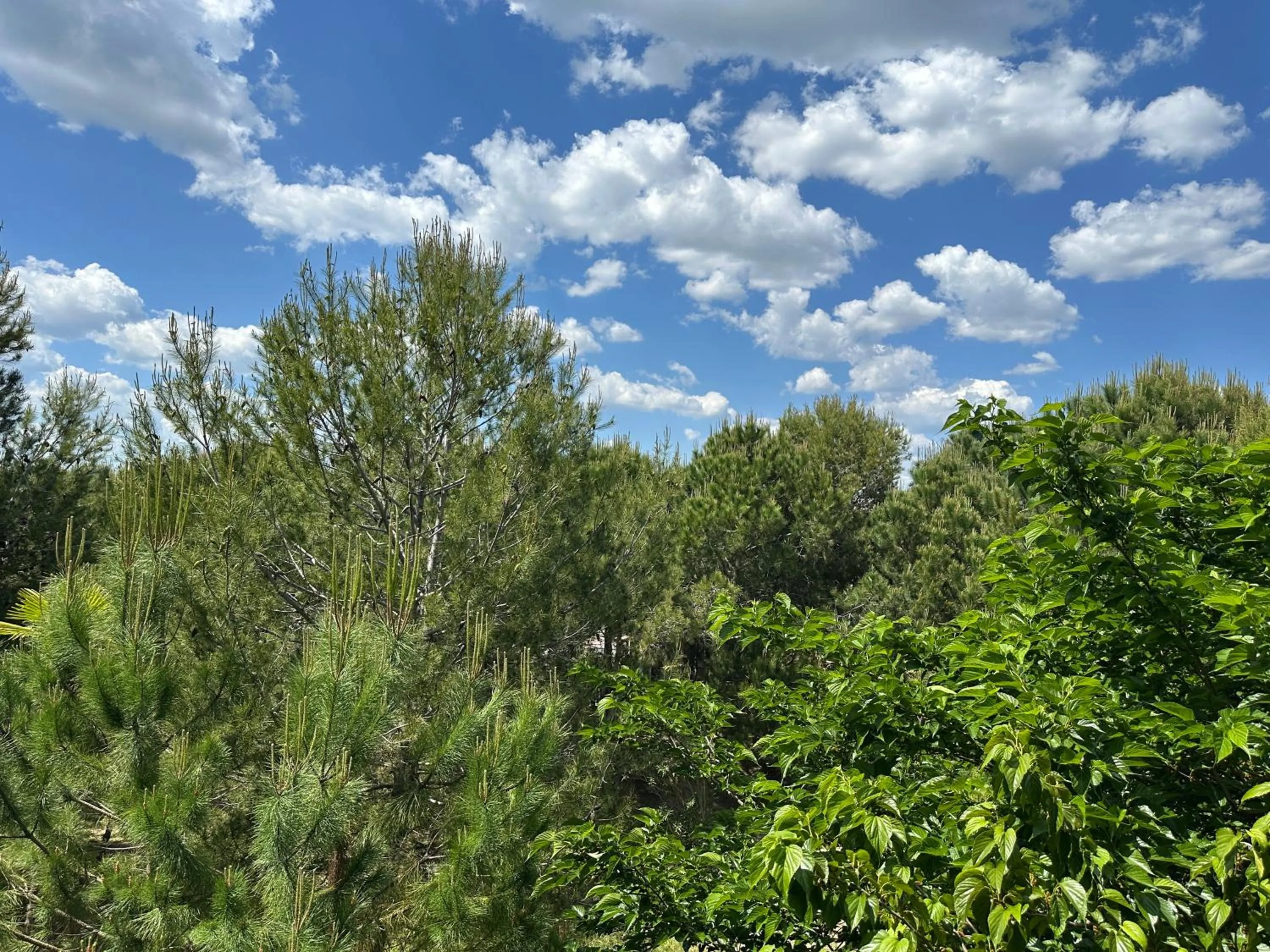 Spring in Hôtel Plage Palace & Spa