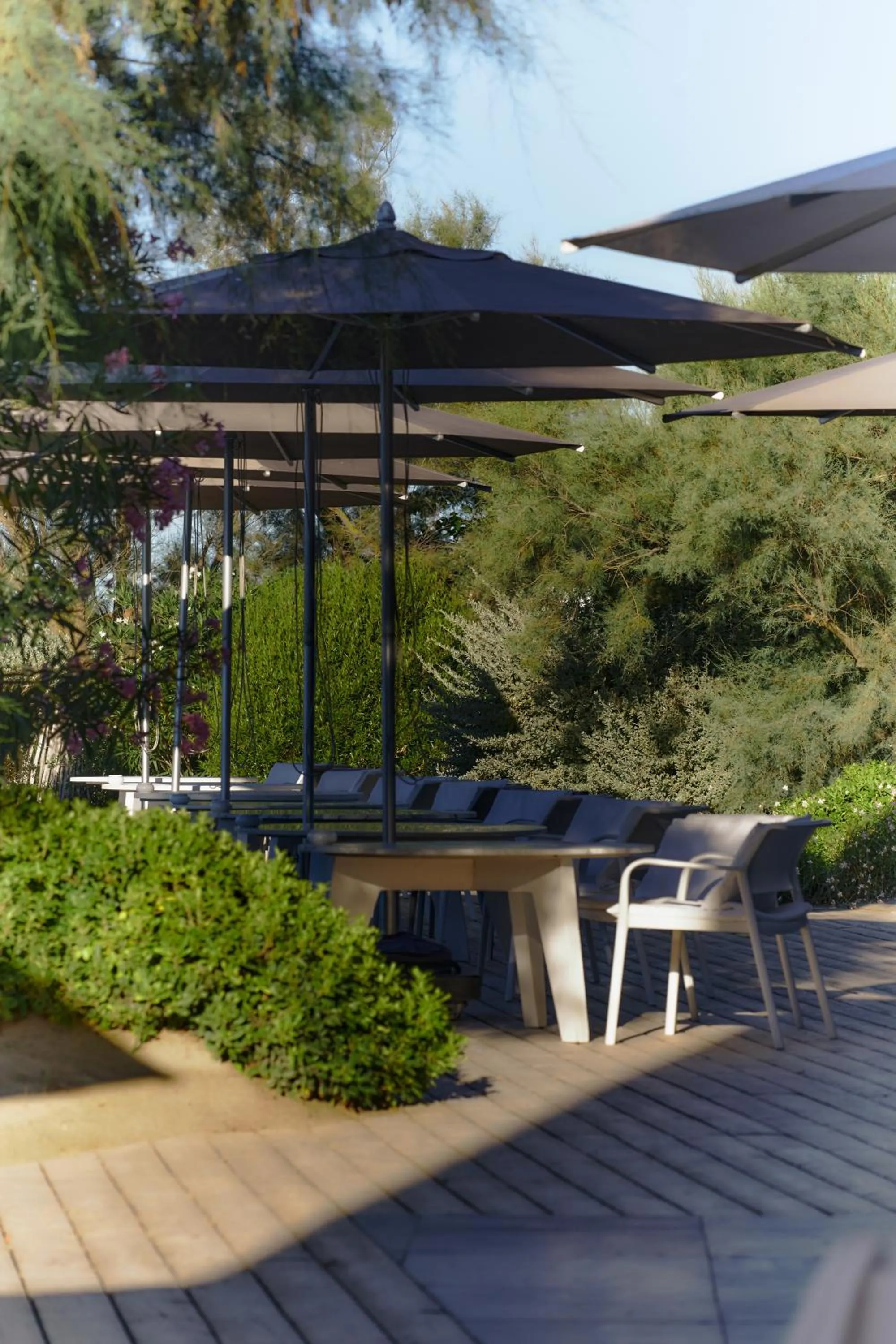 Spring in Hôtel Plage Palace & Spa