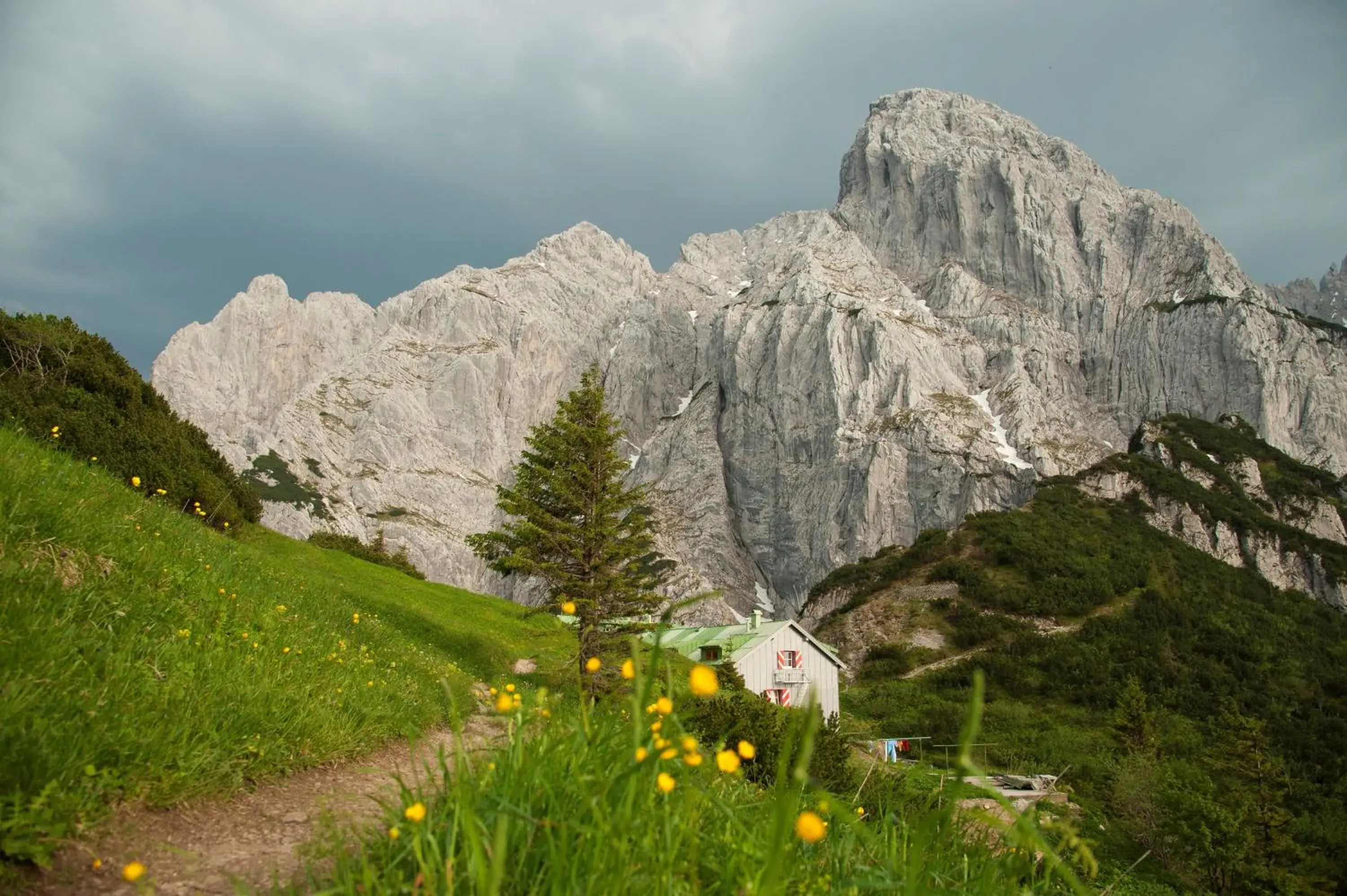 Hiking, Natural Landscape in Hotel Neuwirt