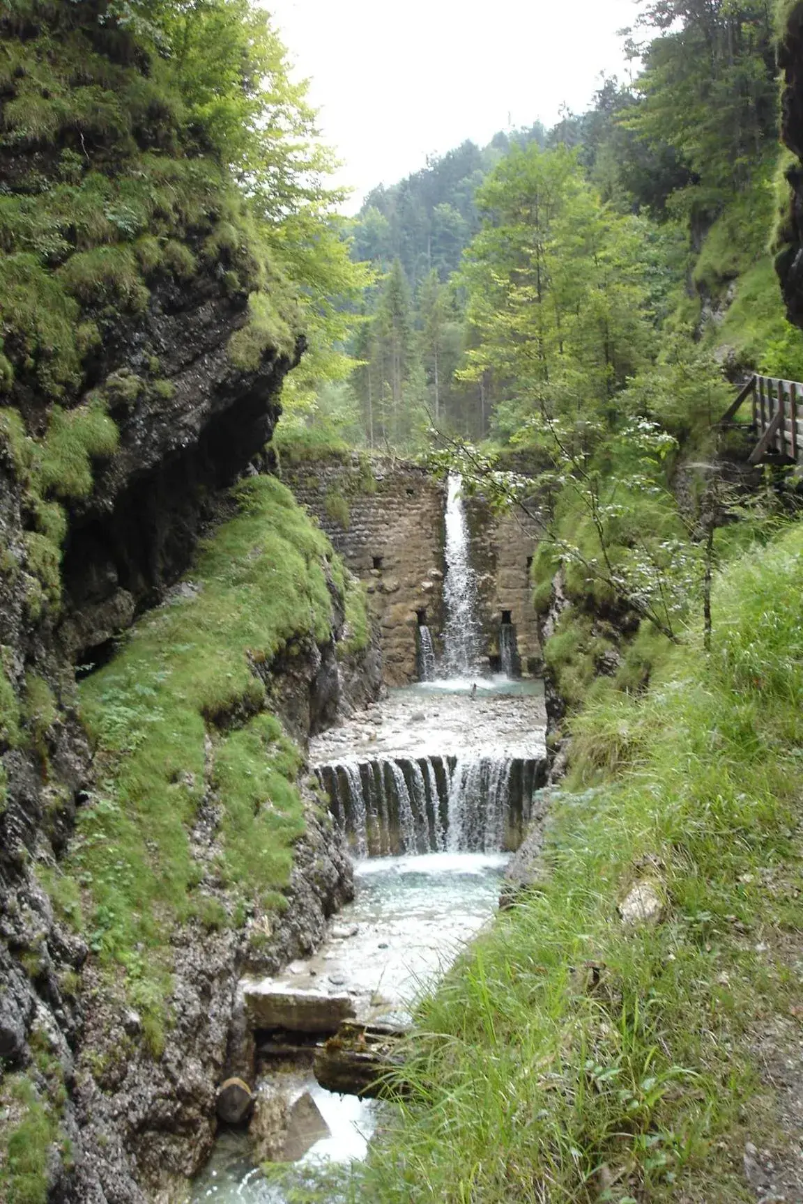 Area and facilities, Natural Landscape in Hotel Neuwirt