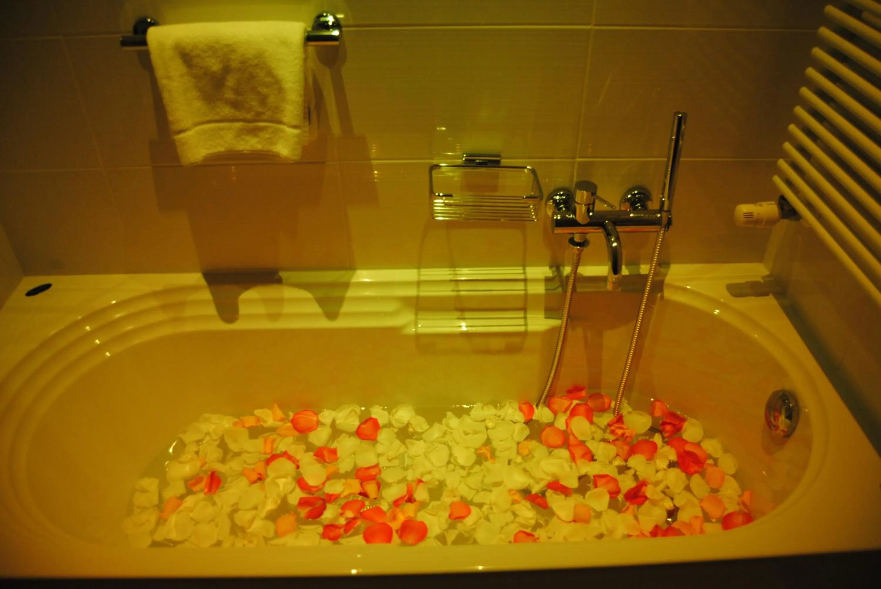 Bathroom in Agriturismo Ca' Beatrice - Venice Airport