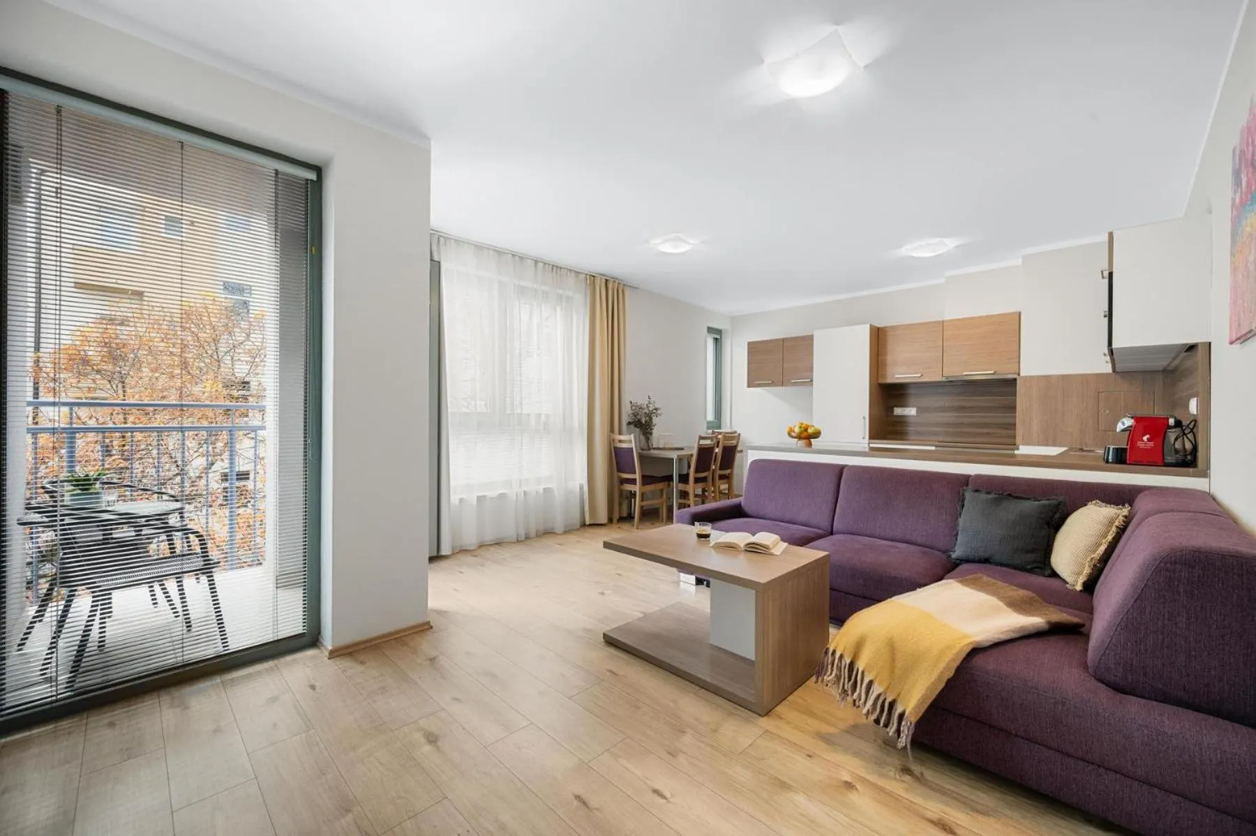 Kitchen or kitchenette in Apart Hotel VIRGO