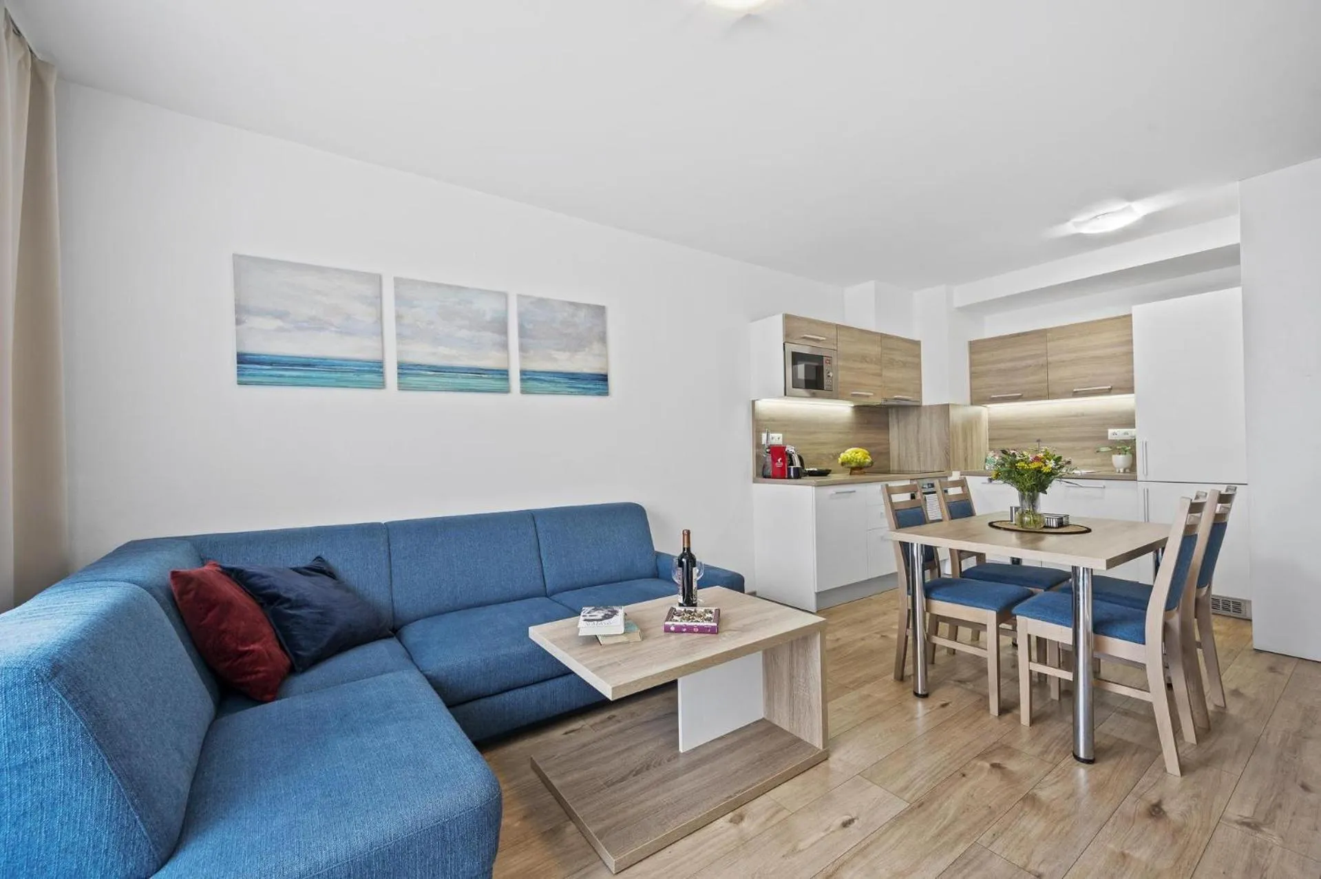 Kitchen or kitchenette in Apart Hotel VIRGO