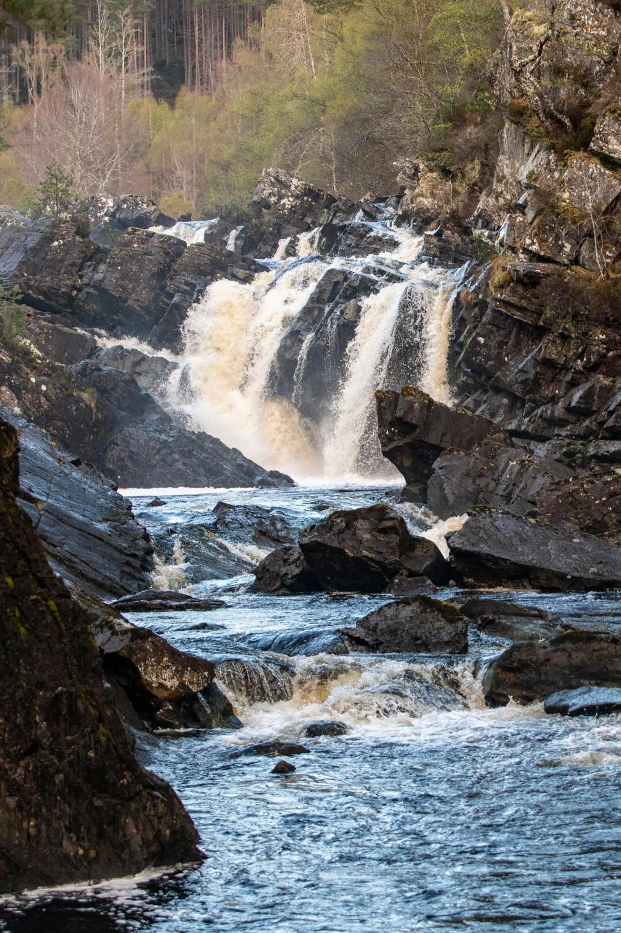 Natural landscape in Inverness Youth Hostel