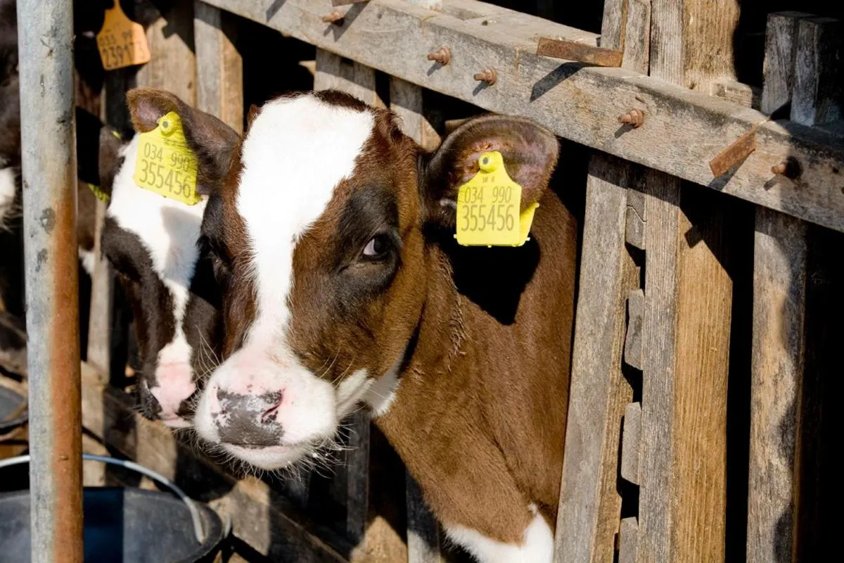 Property building in Agriturismo Villa Mocenigo
