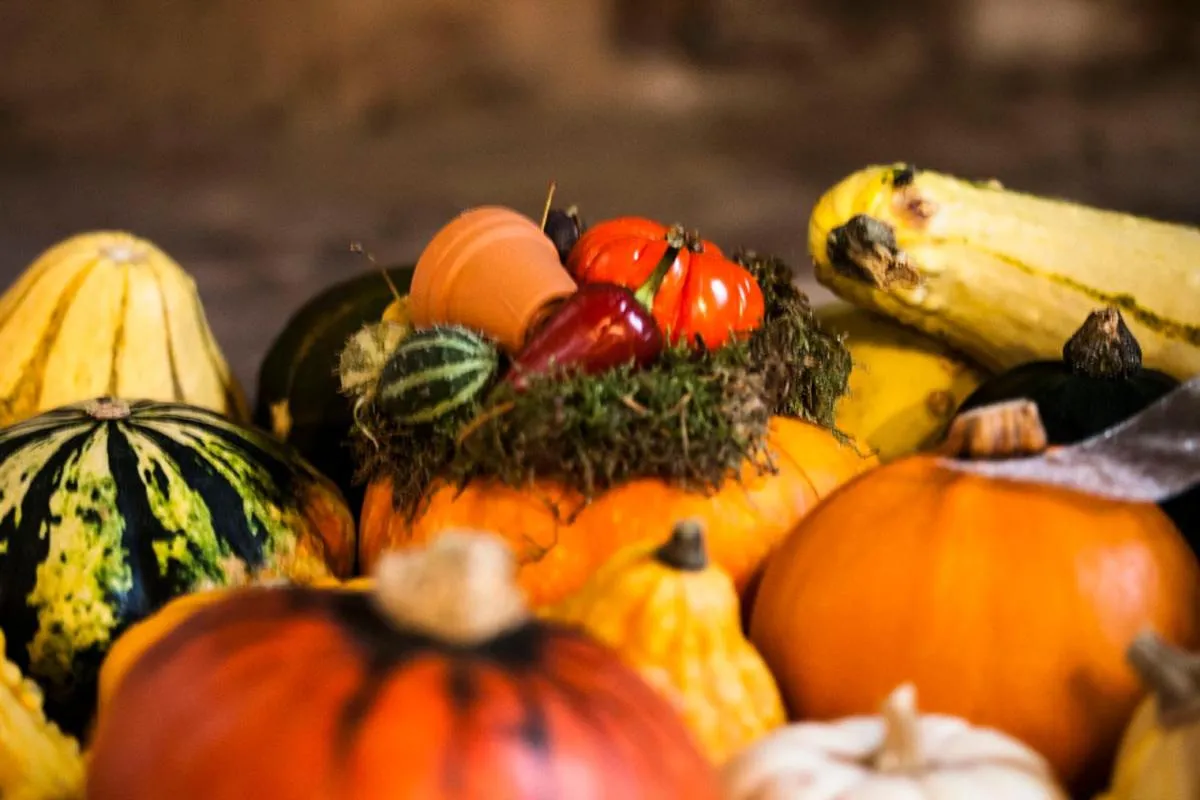 Food in Agriturismo Villa Mocenigo