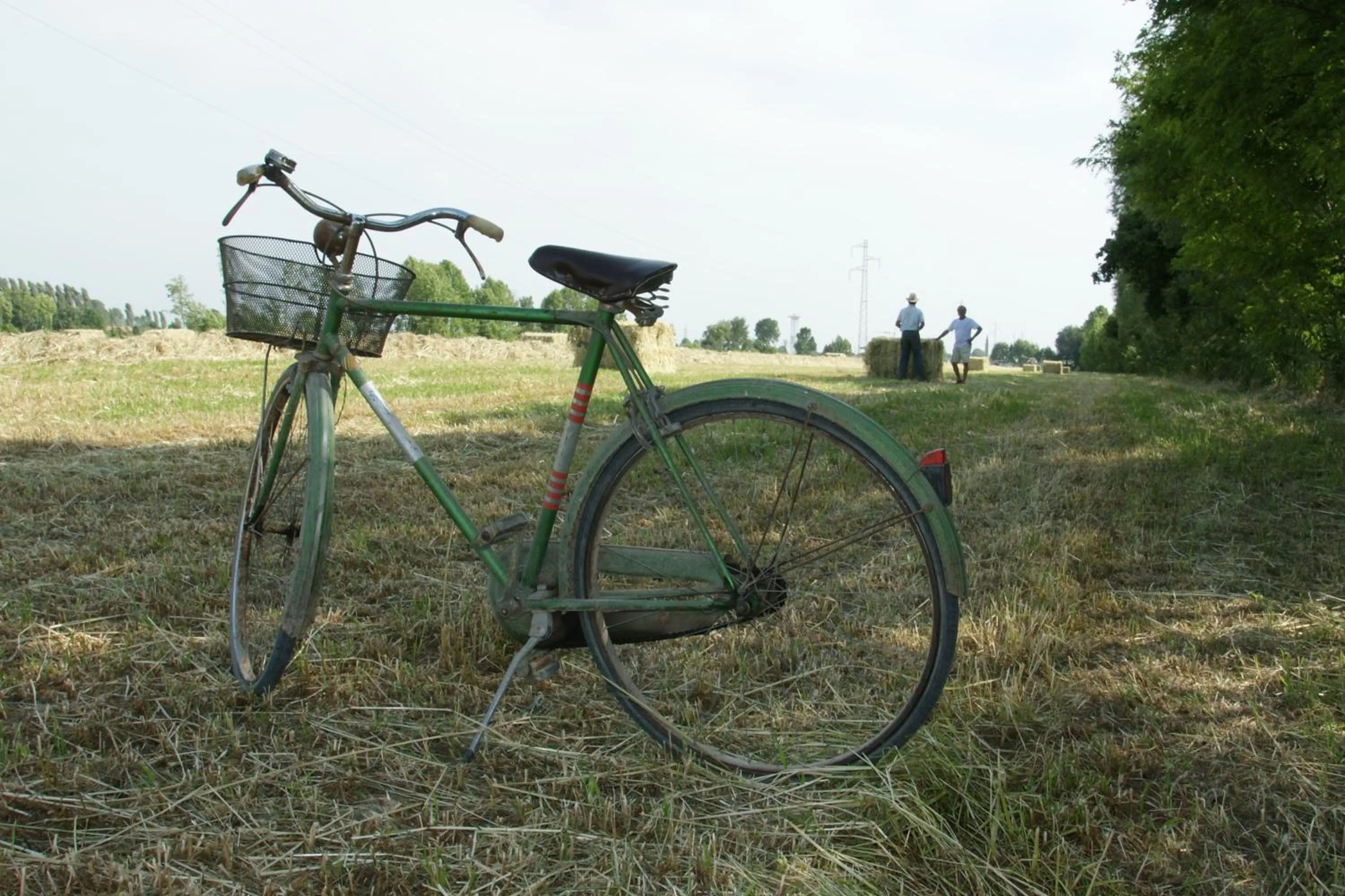 View (from property/room) in Agriturismo Villa Mocenigo