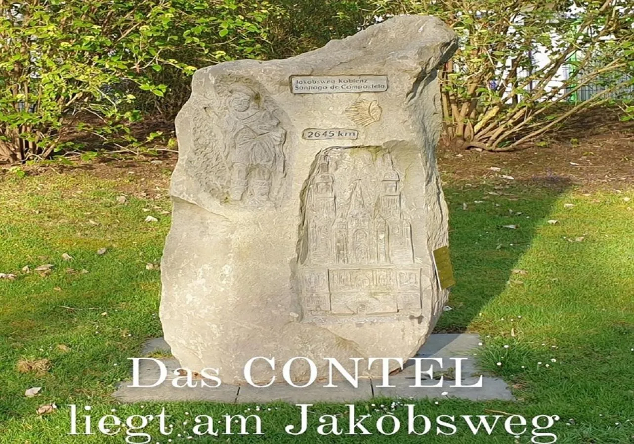 Area and facilities in CONTEL Hotel