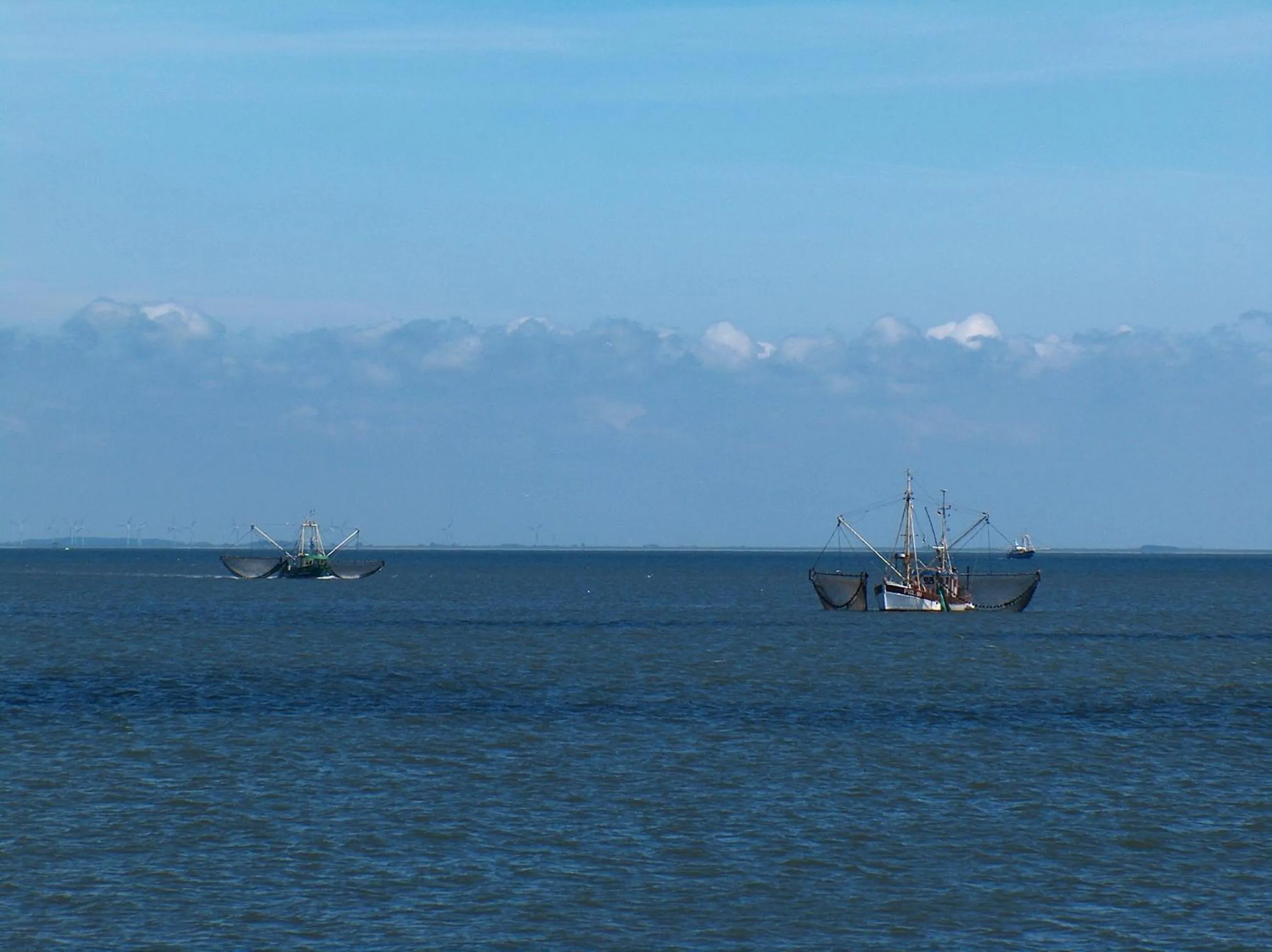 Natural landscape in Nordsee Lodge