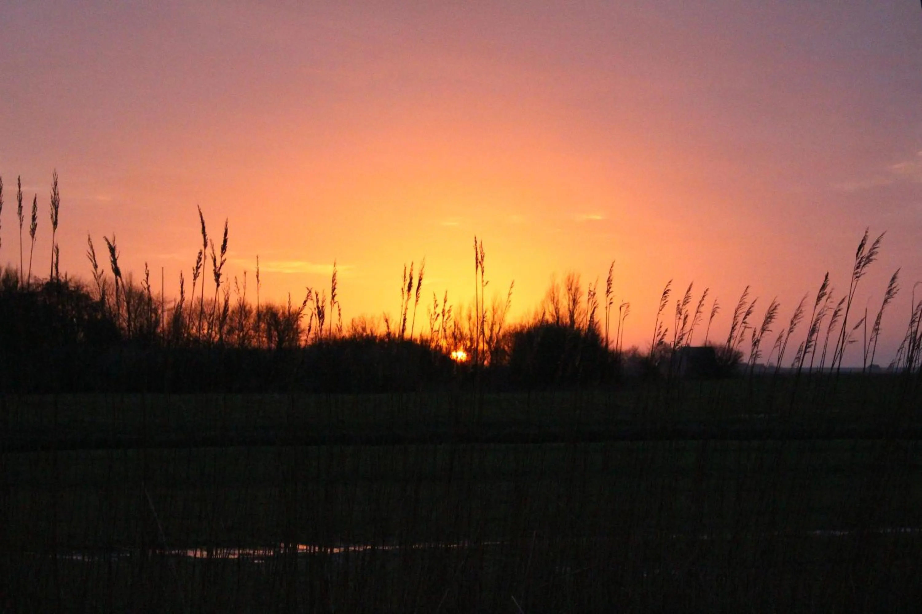 Natural landscape in Nordsee Lodge