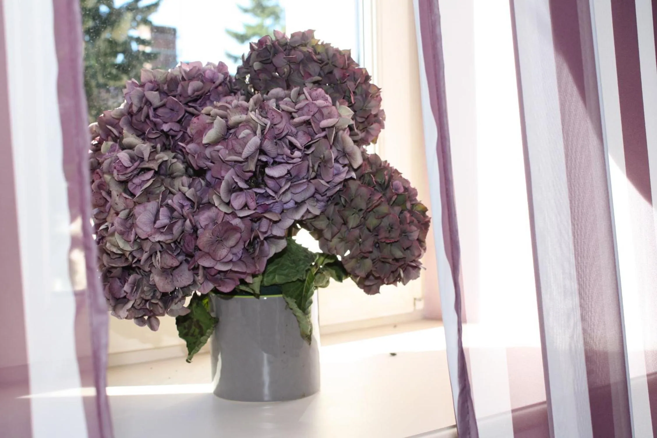 Chambres d'hôtes La Verrerie du Gast