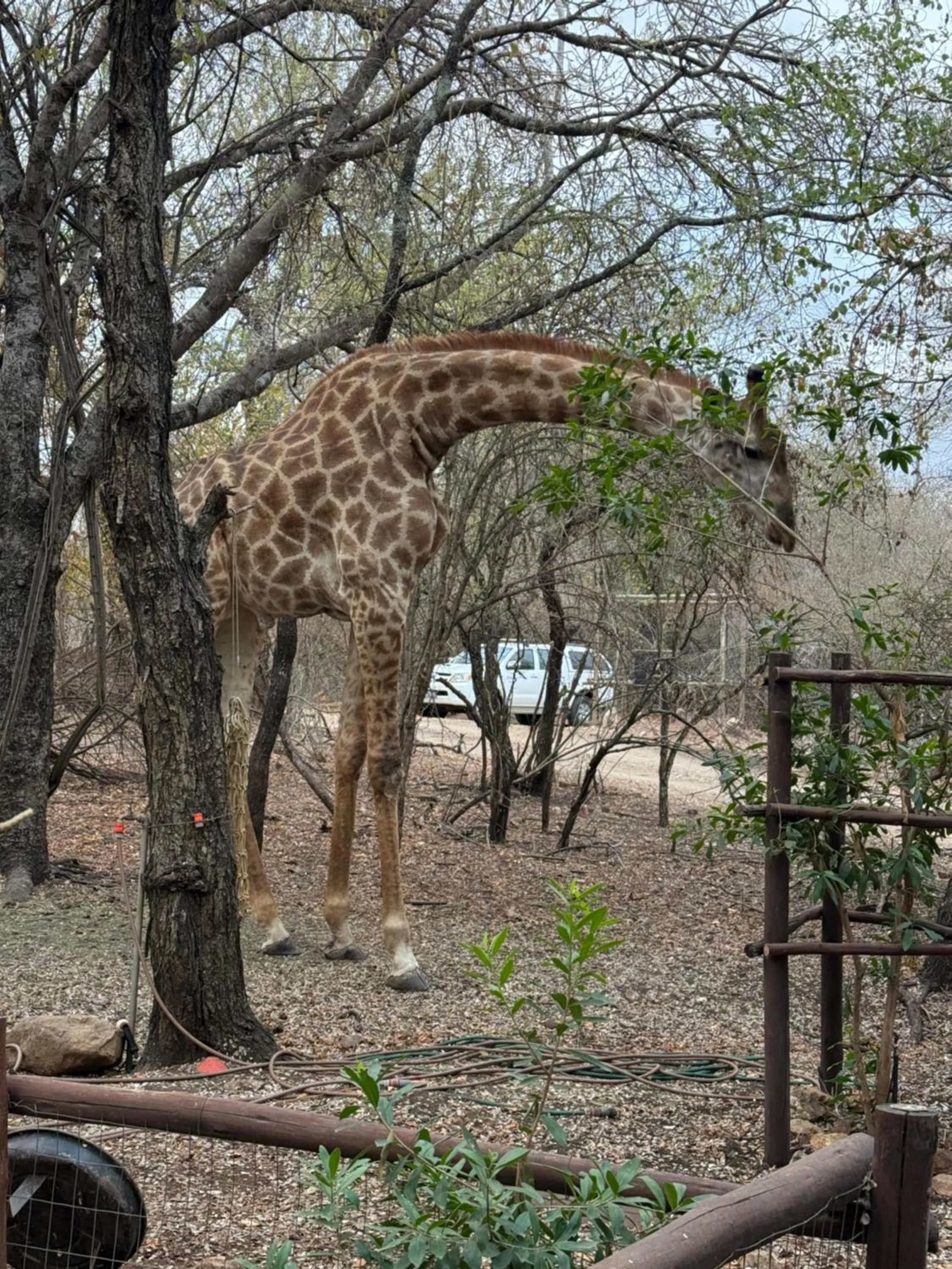 InniBos Marloth Park