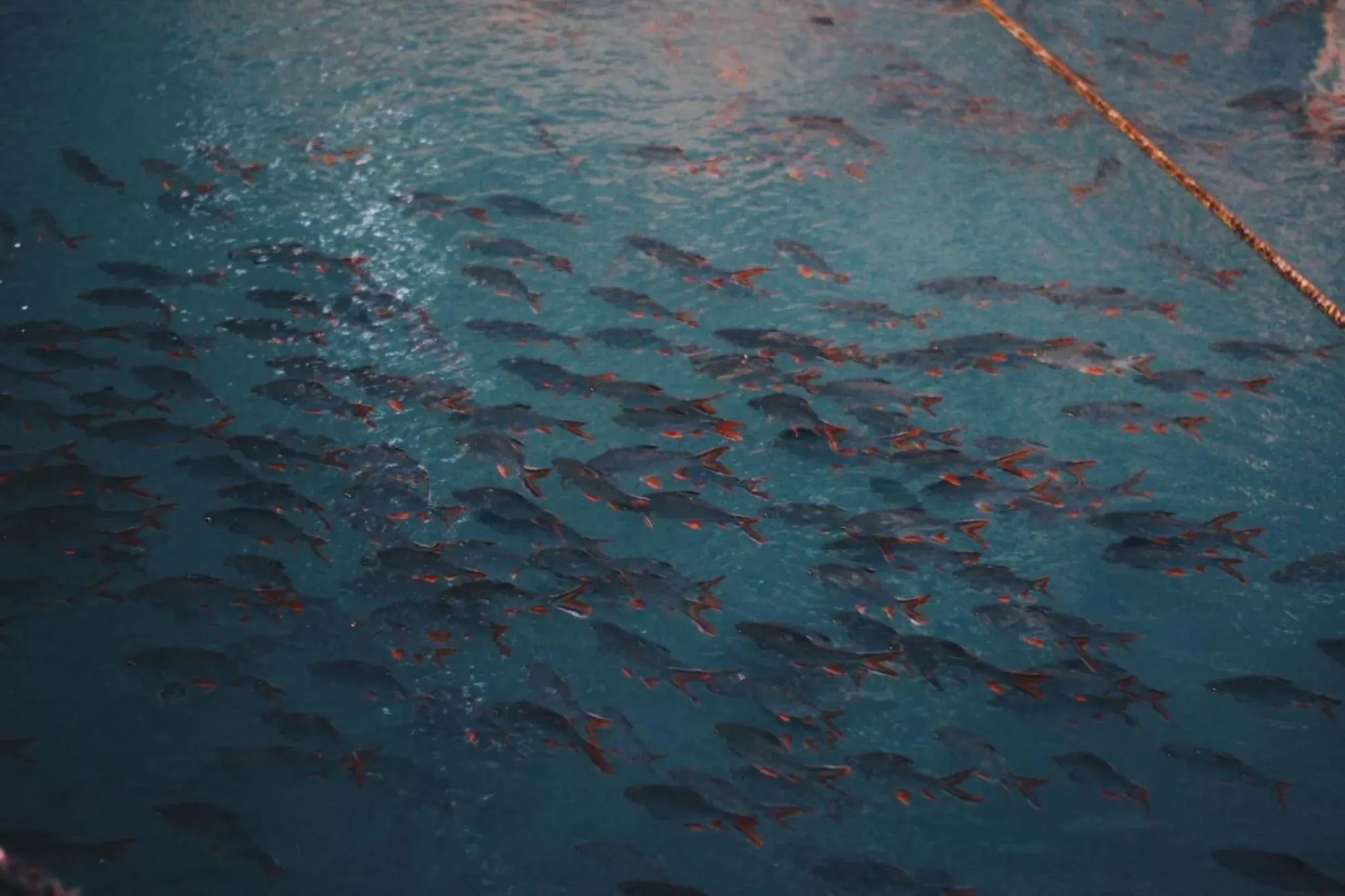 Property building in Koh Mueangkarn Paradise View Resort Property building in Koh Mueangkarn Paradise View Resort