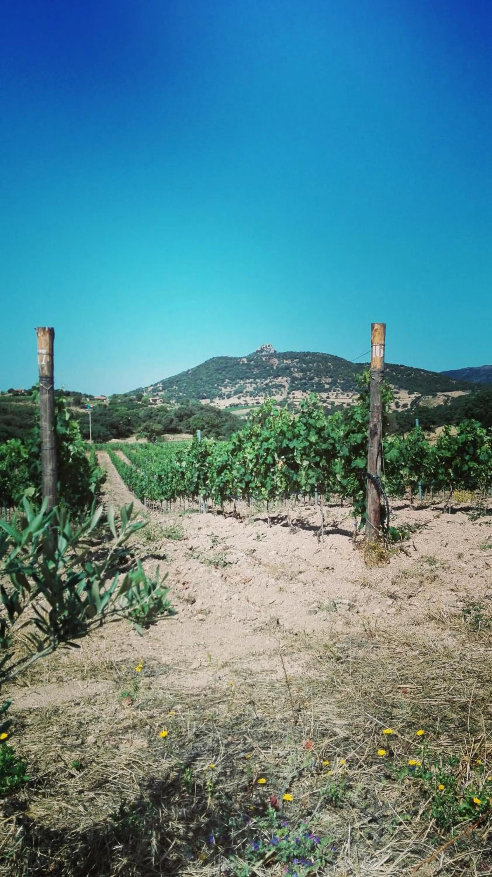 Activities in Agriturismo B&B Domo De Resteblas