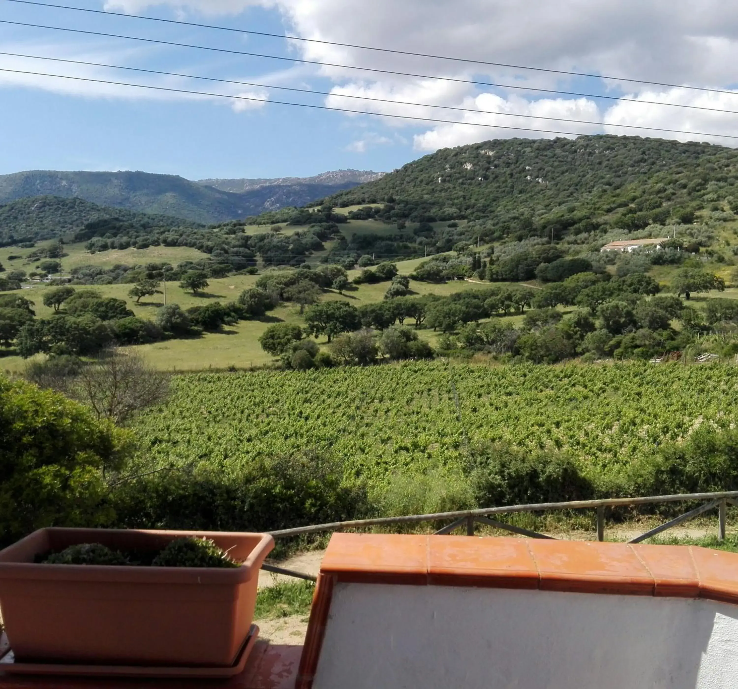 Double Room - single occupancy in Agriturismo B&B Domo De Resteblas Double Room - single occupancy in Agriturismo B&B Domo De Resteblas