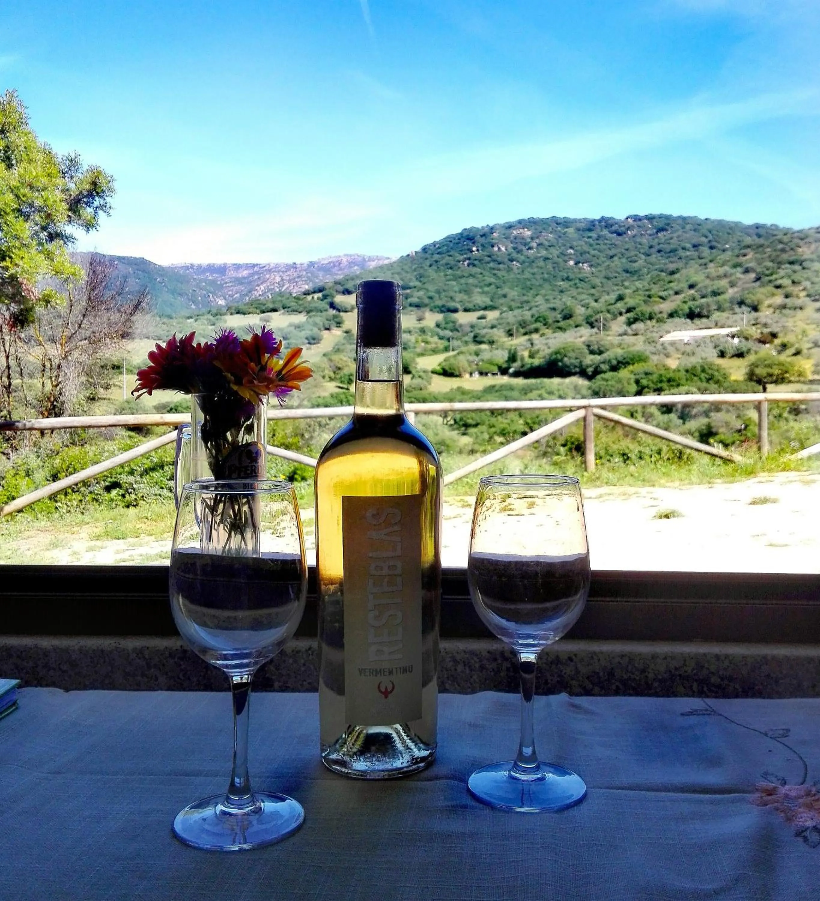 Mountain view in Agriturismo B&B Domo De Resteblas