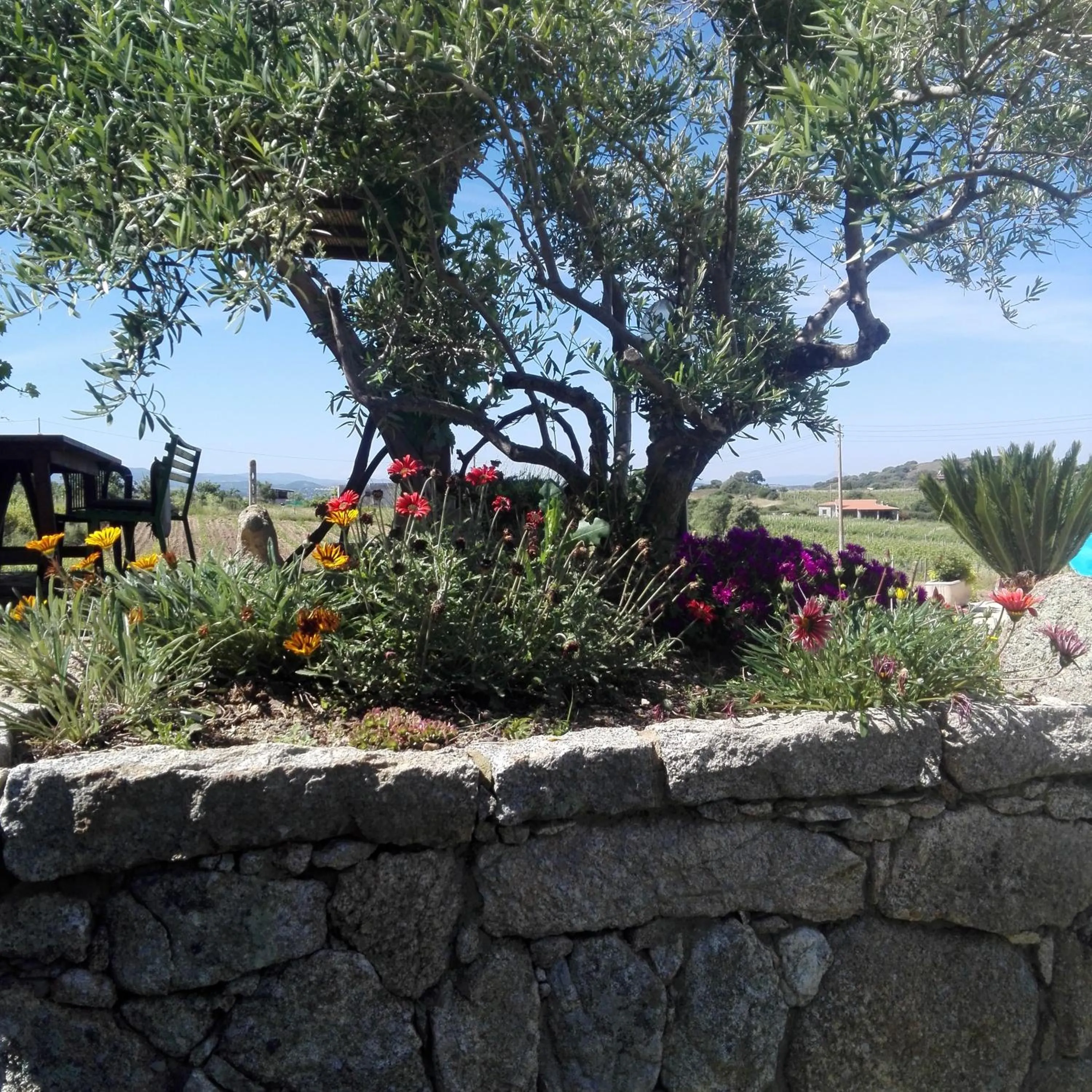 Garden in Agriturismo B&B Domo De Resteblas