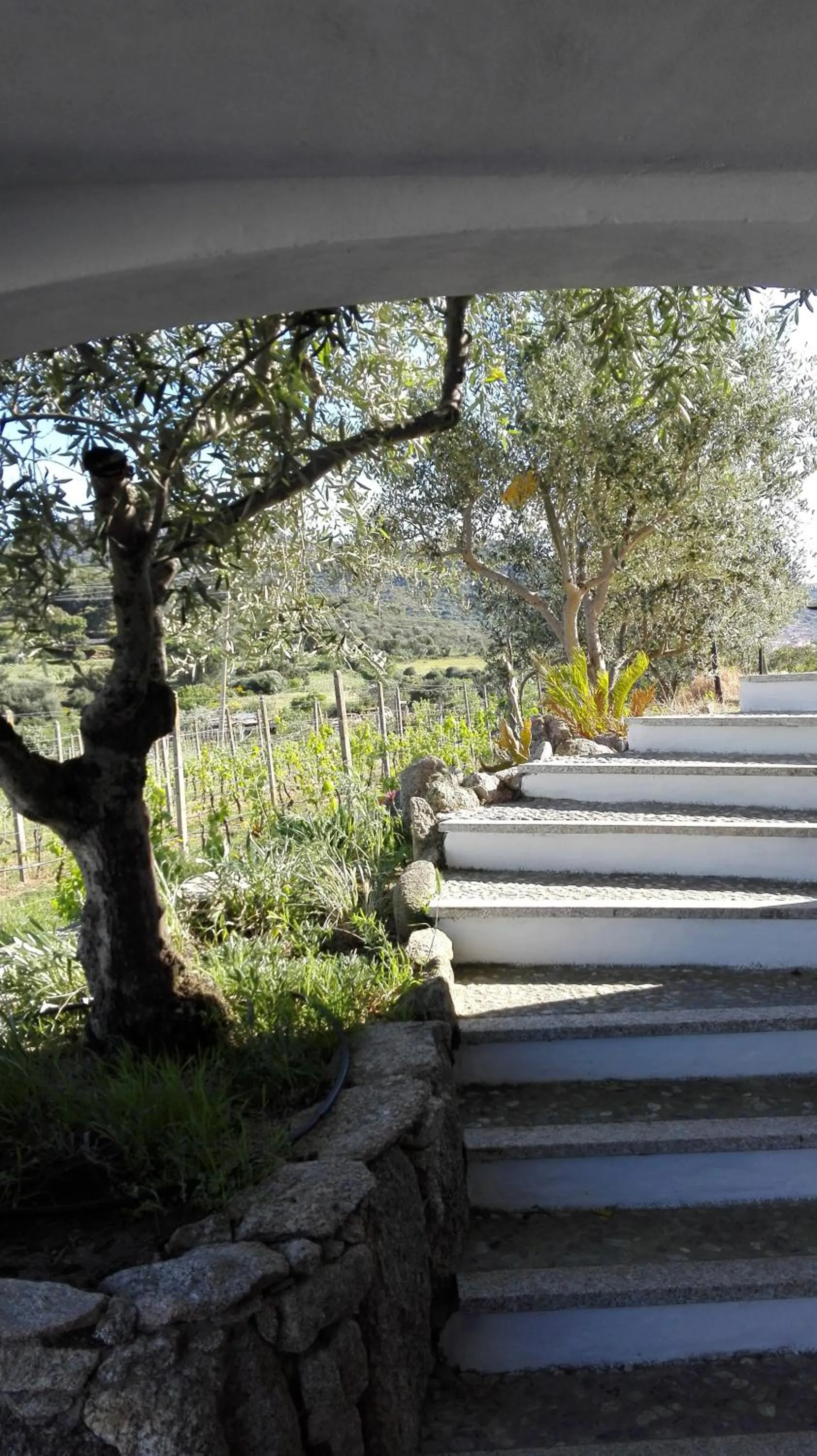 Natural landscape in Agriturismo B&B Domo De Resteblas