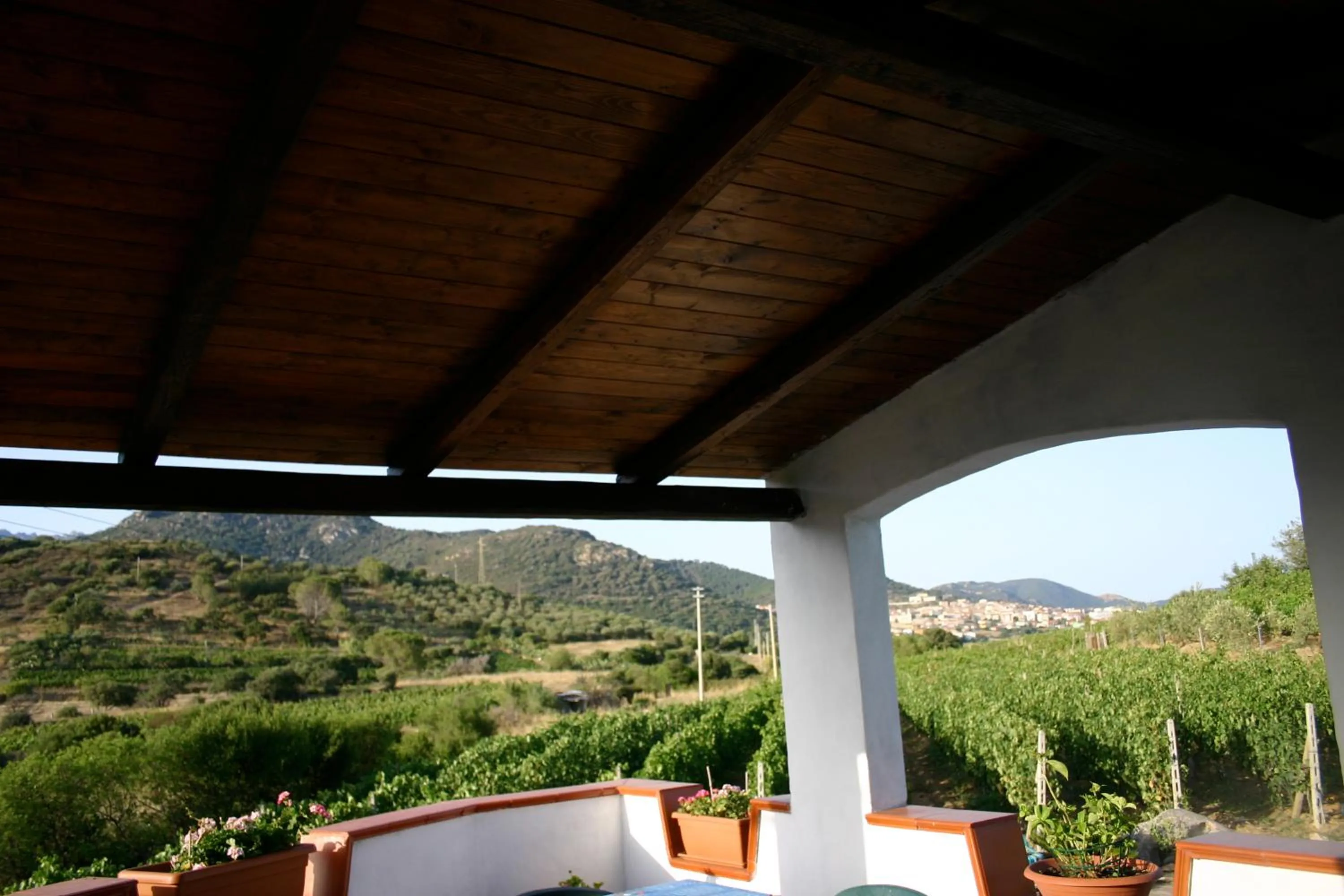 Balcony/Terrace in Agriturismo B&B Domo De Resteblas