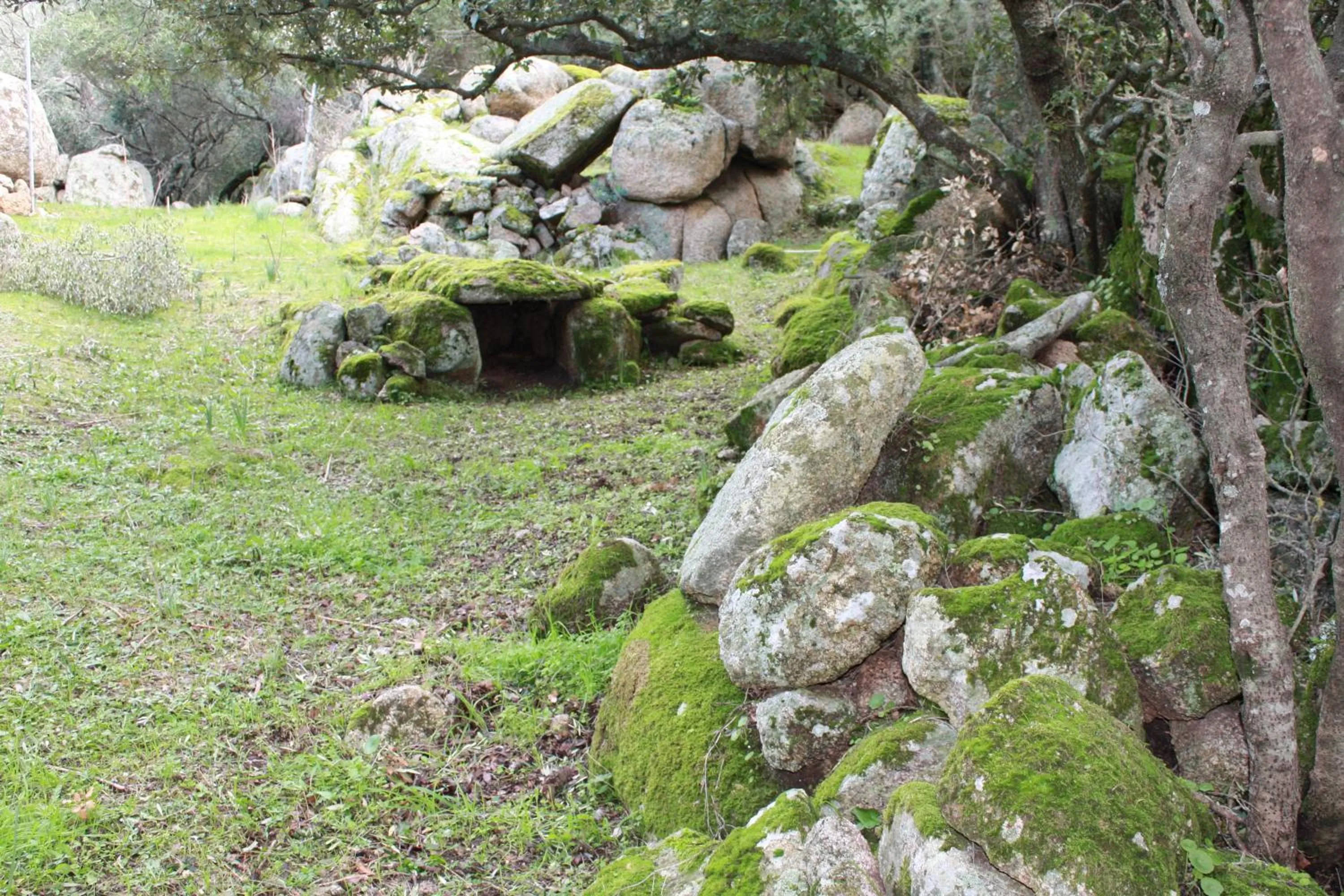 Nearby landmark in Agriturismo B&B Domo De Resteblas
