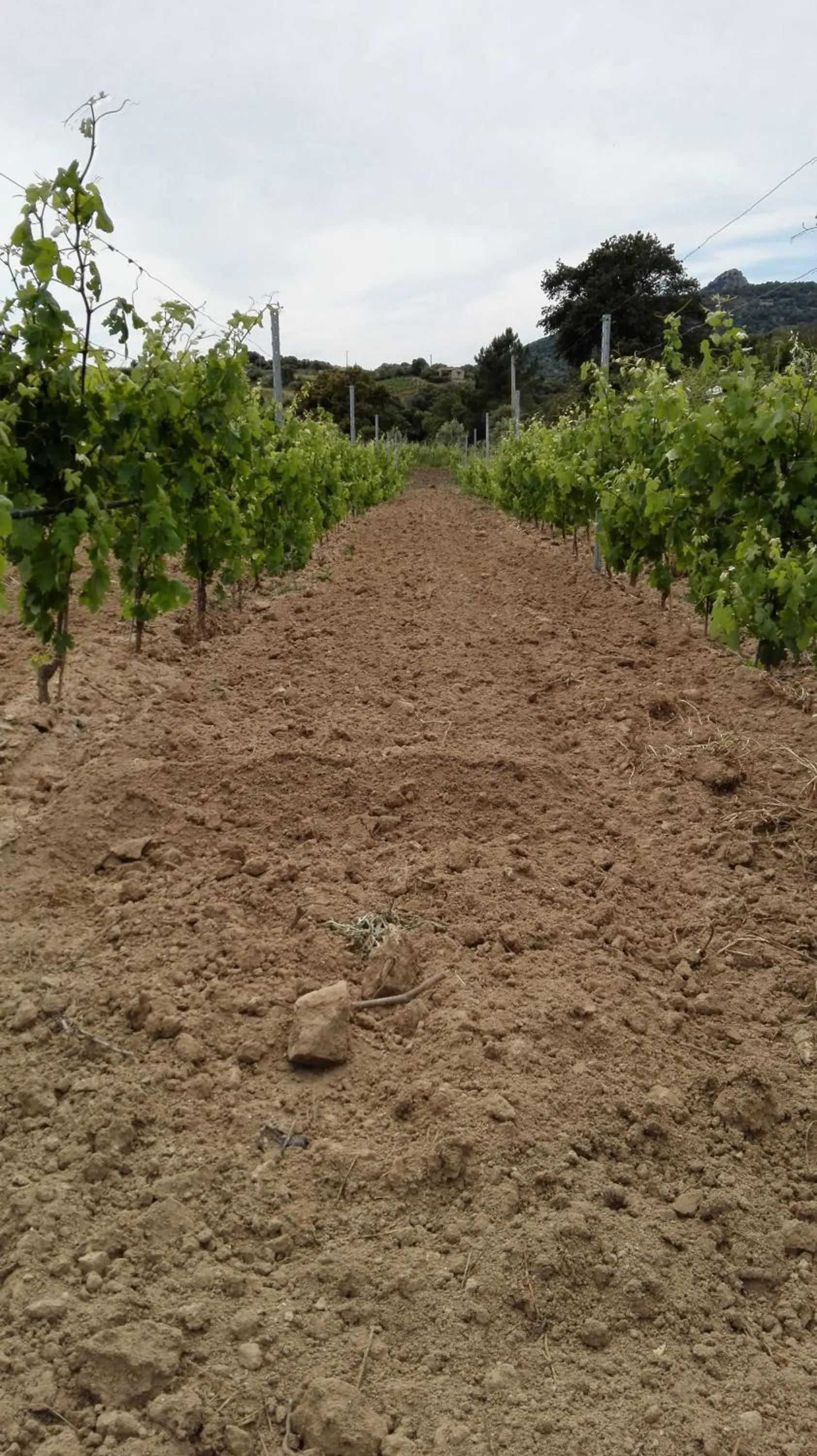 Activities in Agriturismo B&B Domo De Resteblas