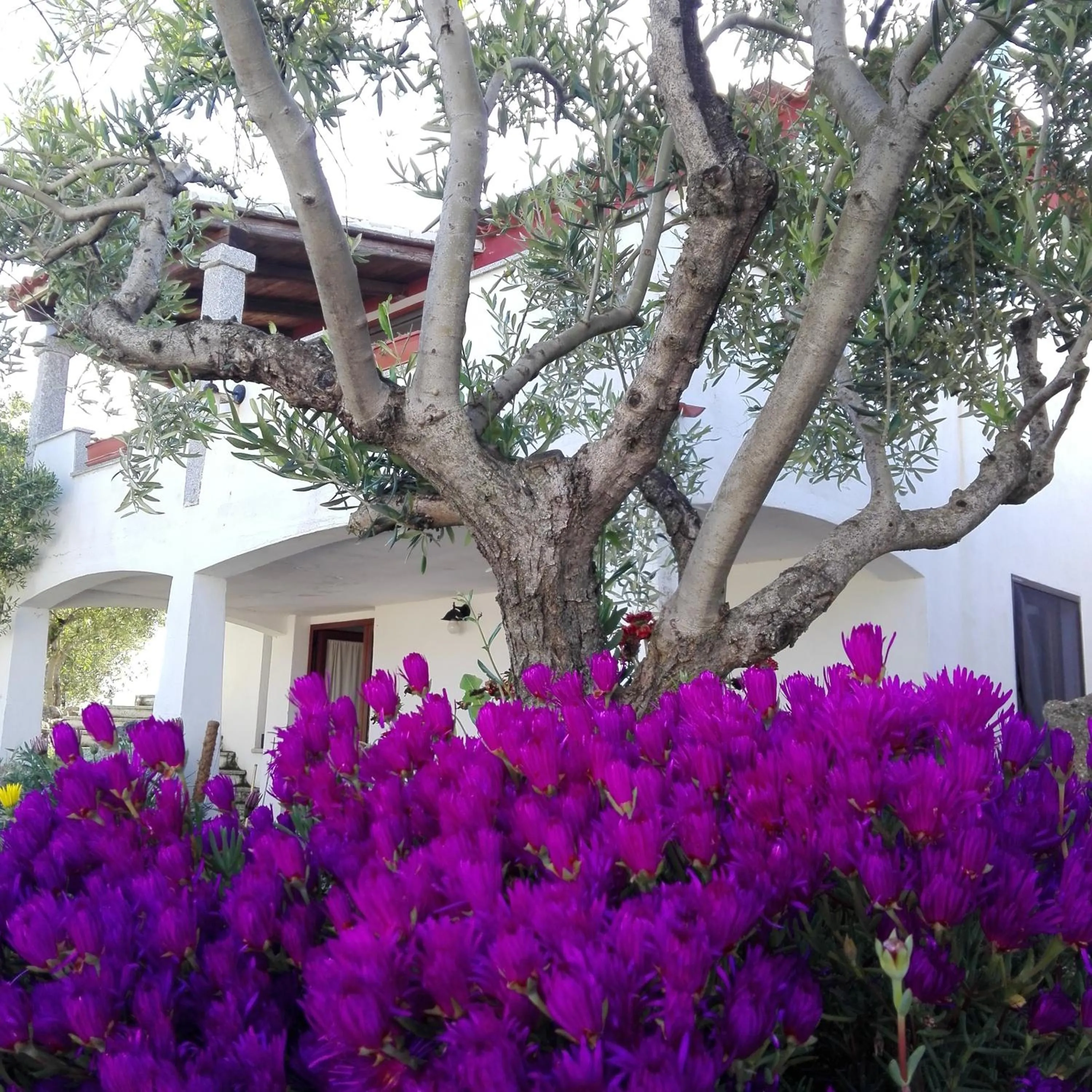 Property building in Agriturismo B&B Domo De Resteblas