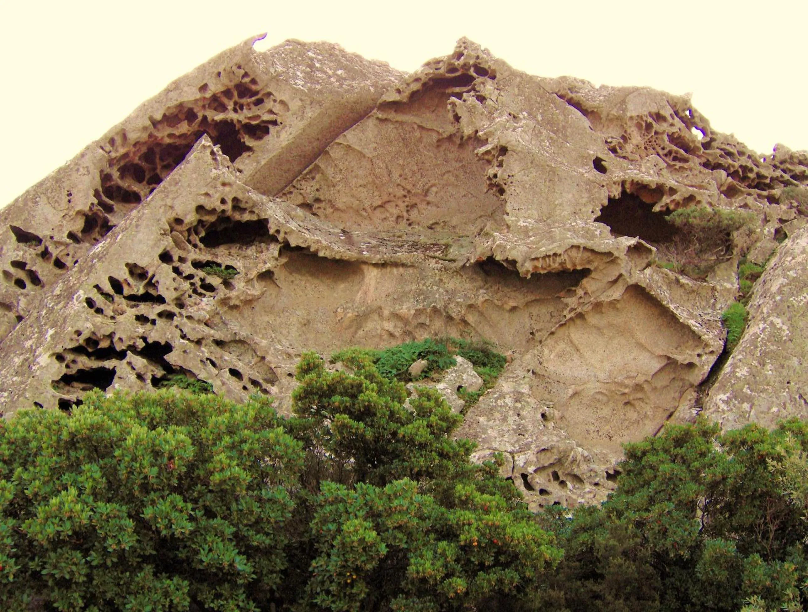 Natural landscape in Agriturismo B&B Domo De Resteblas