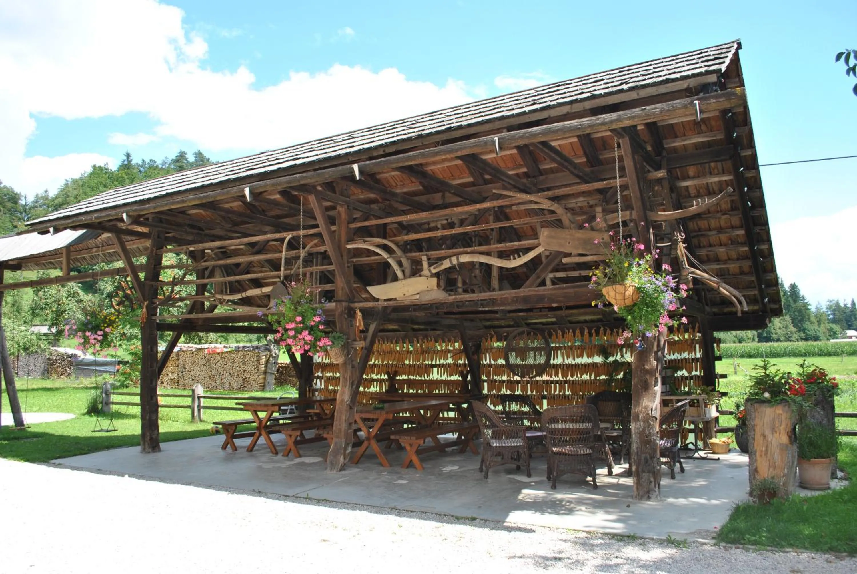 Area and facilities in Farm Holidays Povsin