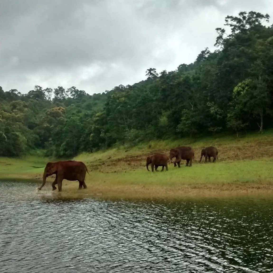 Spice Villa Thekkady